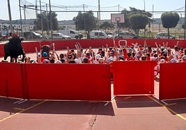 'San Villalobín', una actividad dirigida a los niños.