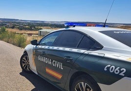 Investigado un matrimonio por robar hortalizas en una finca de Villamuriel