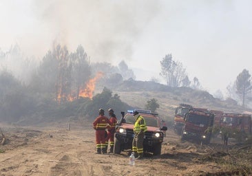 Castilla y León sufre 600 incendios en lo que va de año, casi la mitad intencionados