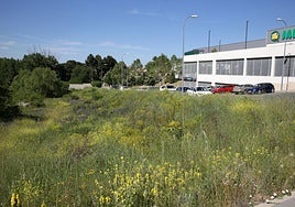 Terrenos donde se construirán las viviendas públicas que saldrán a la venta.