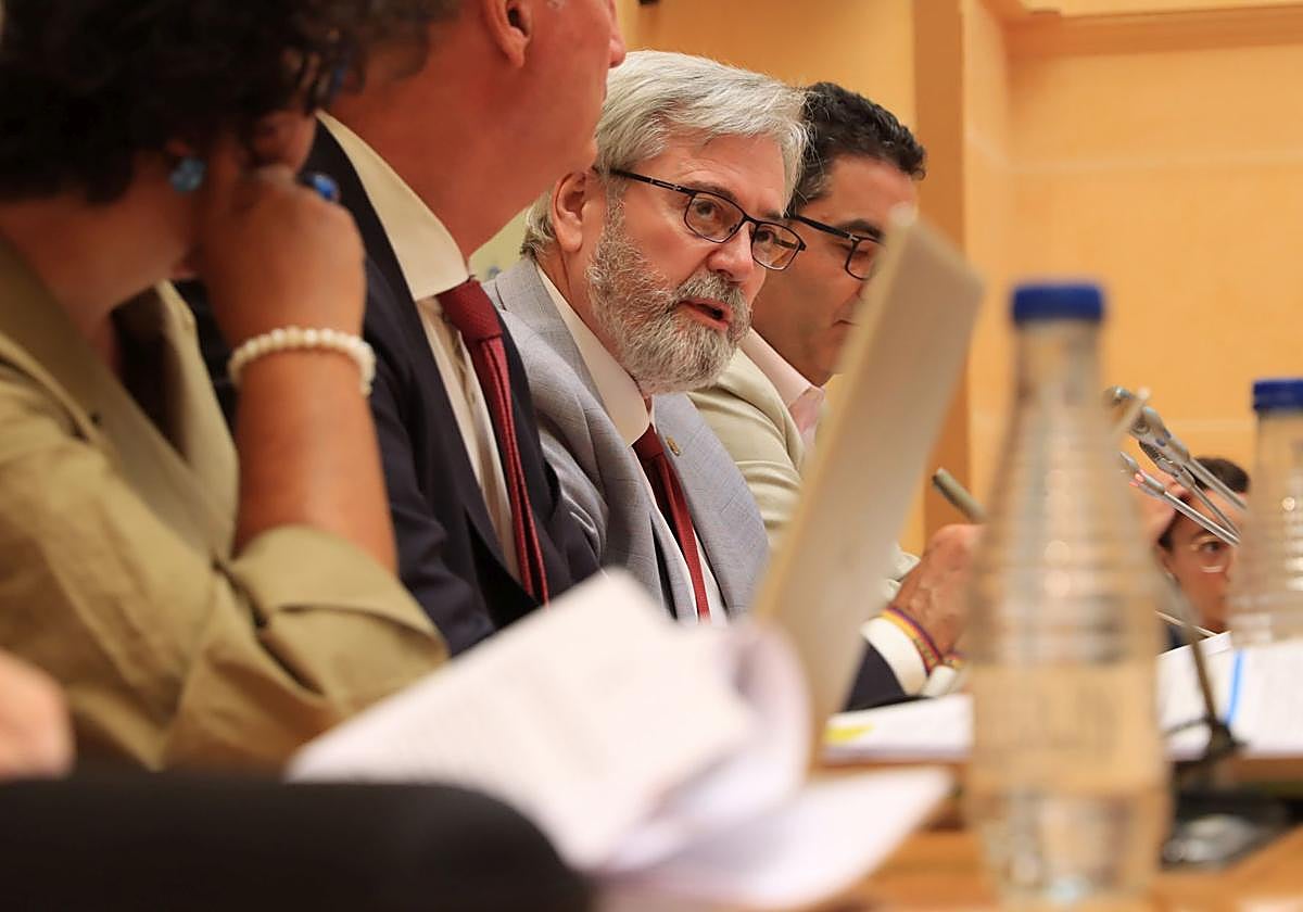 El concejal de Urbanismo, Alejandro González-Salamanca, durante el Pleno de este viernes.