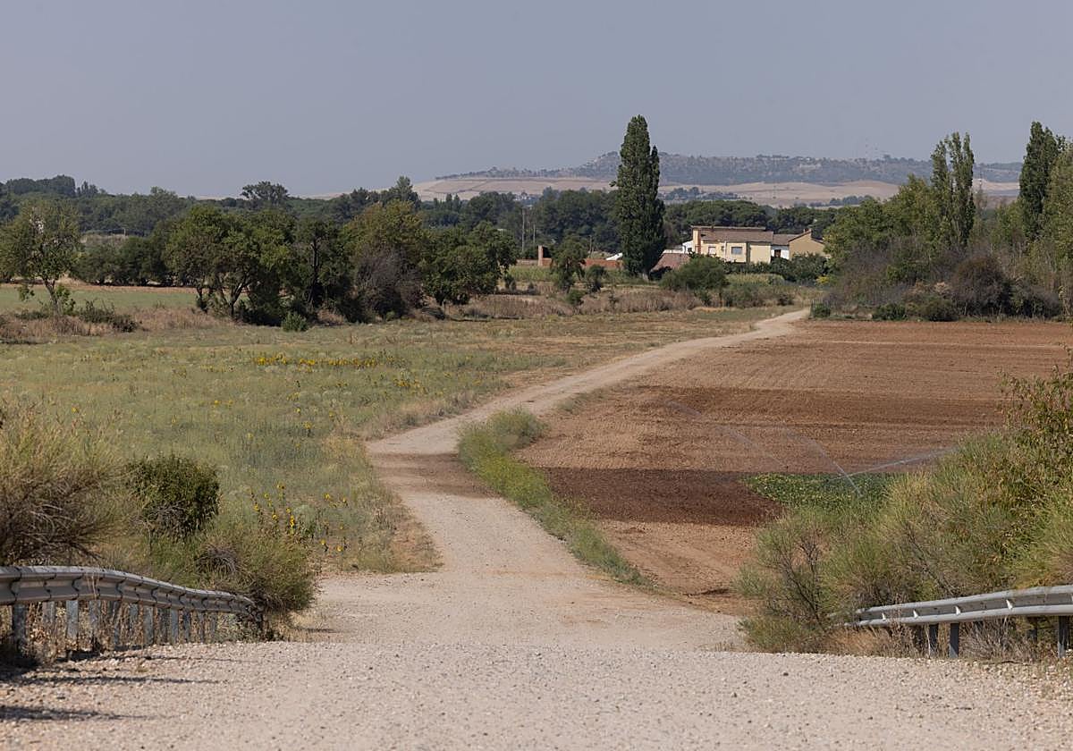 Camino de las Berzosas, cerca del PRAE, donde se perdió el rastro del desaparecido.