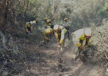 La Junta estima una superficie calcinada de 2.262 hectáreas en el fuego de Ávila