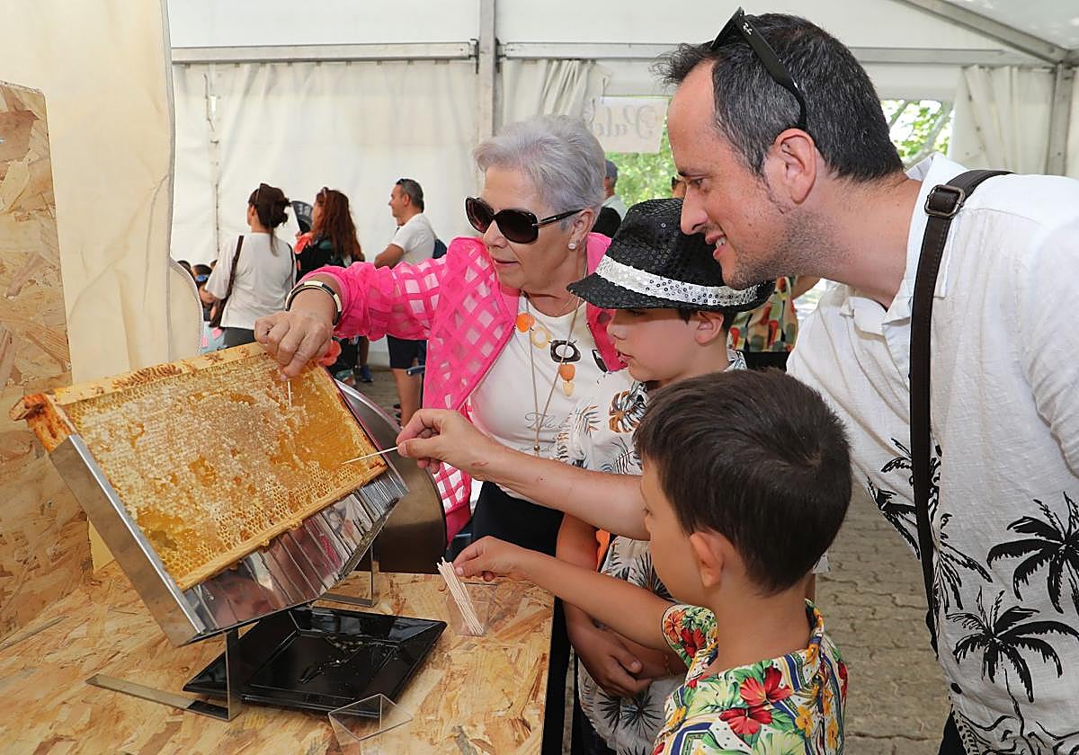 Niños y mayores conocieron en la feria el proceso de producción de la miel.