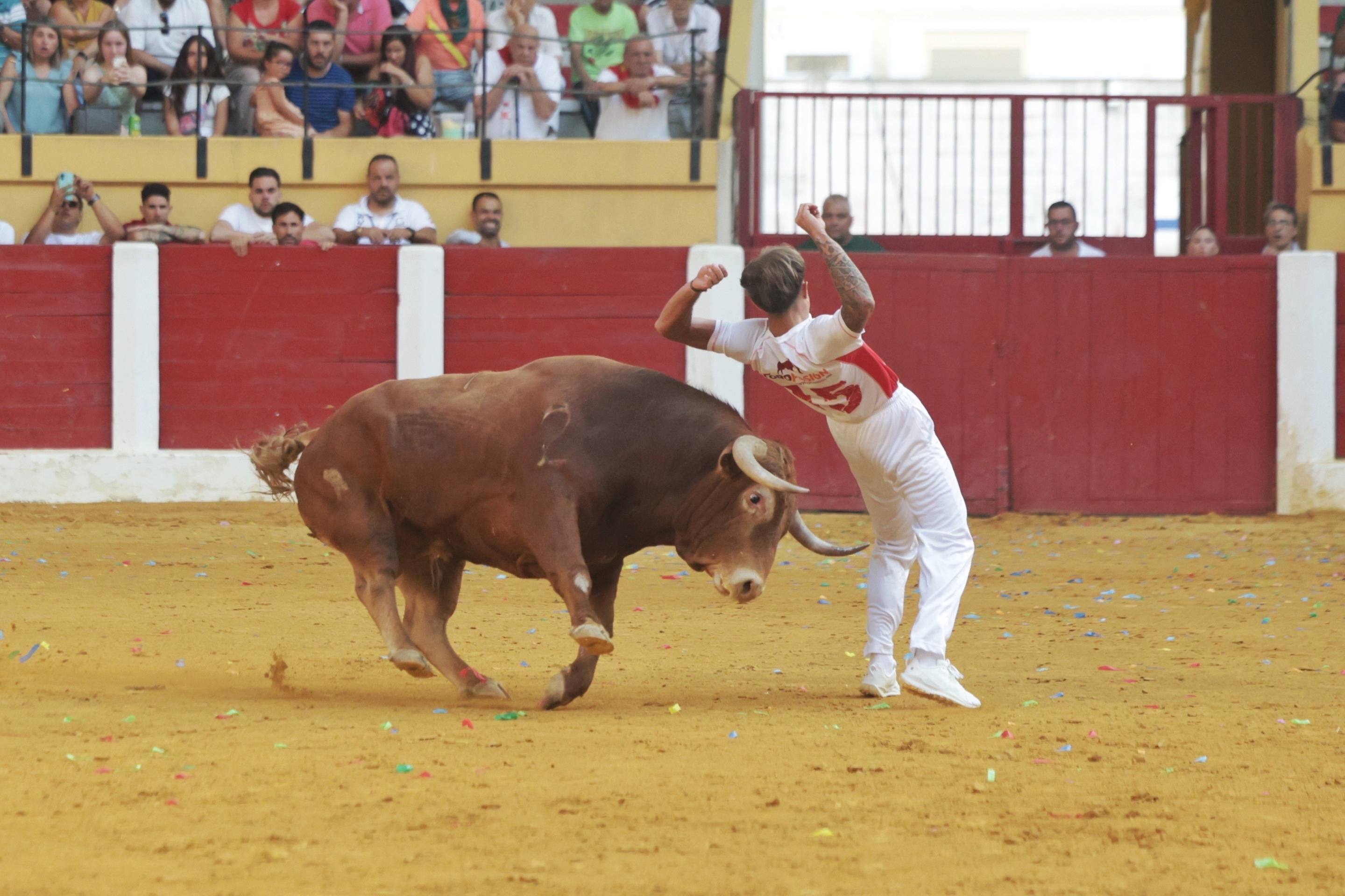 El regreso de la Liga del Corte Puro a Íscar, en imágenes