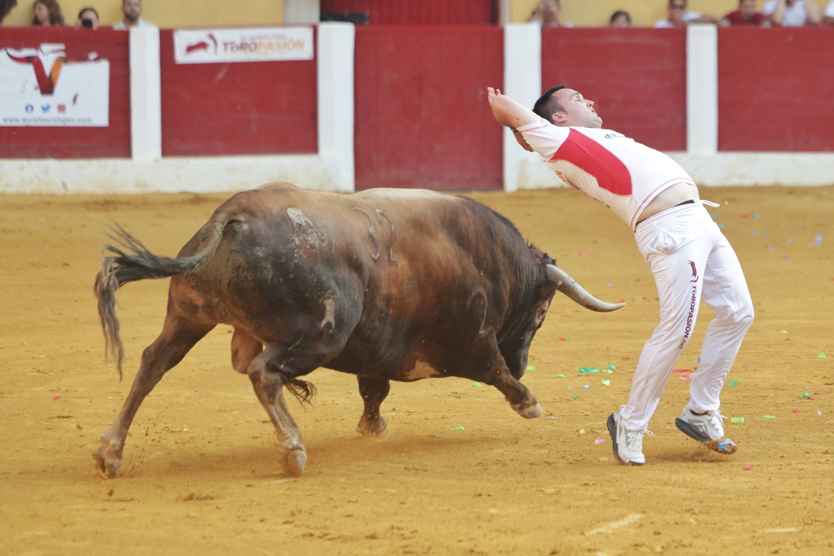El regreso de la Liga del Corte Puro a Íscar, en imágenes