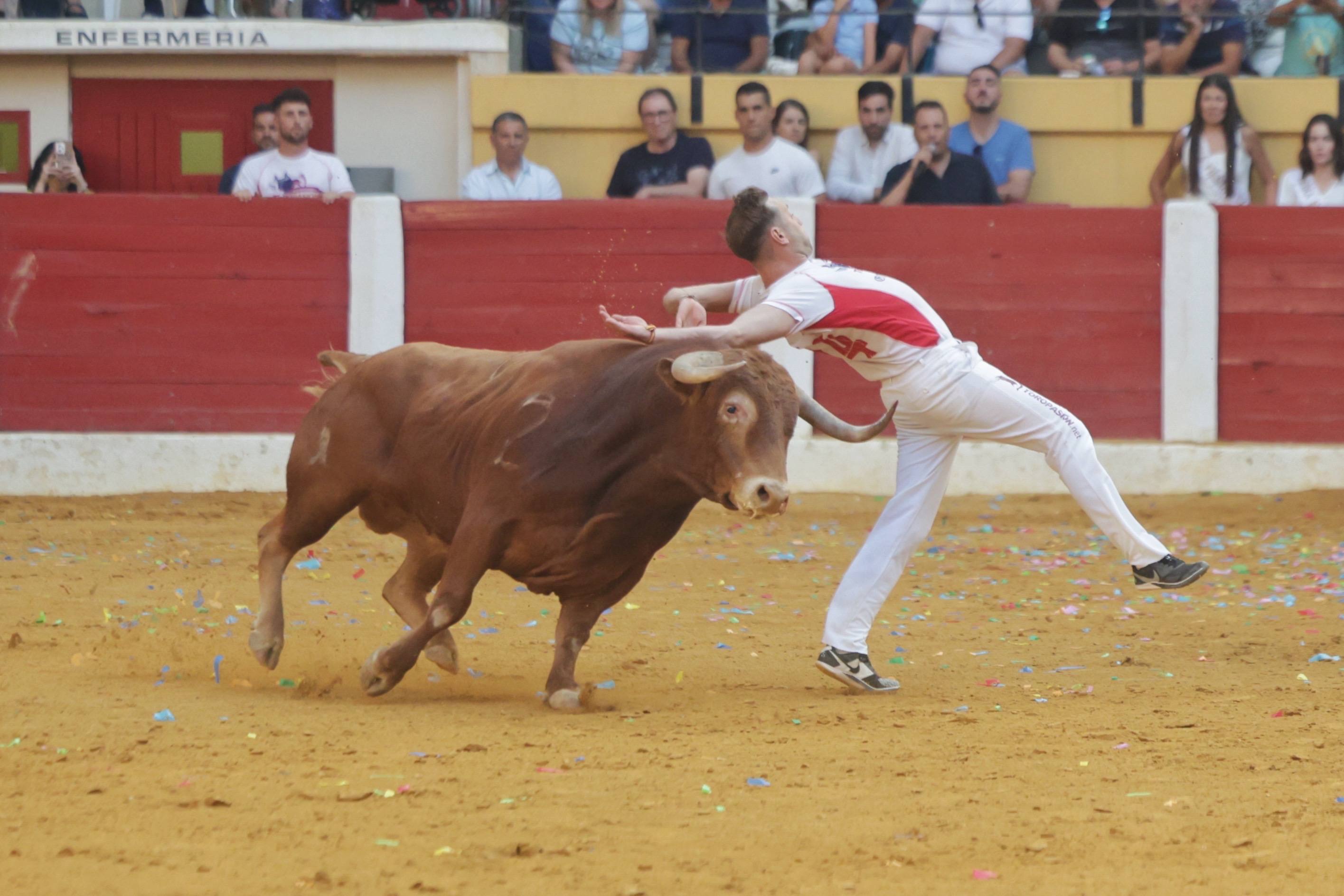El regreso de la Liga del Corte Puro a Íscar, en imágenes