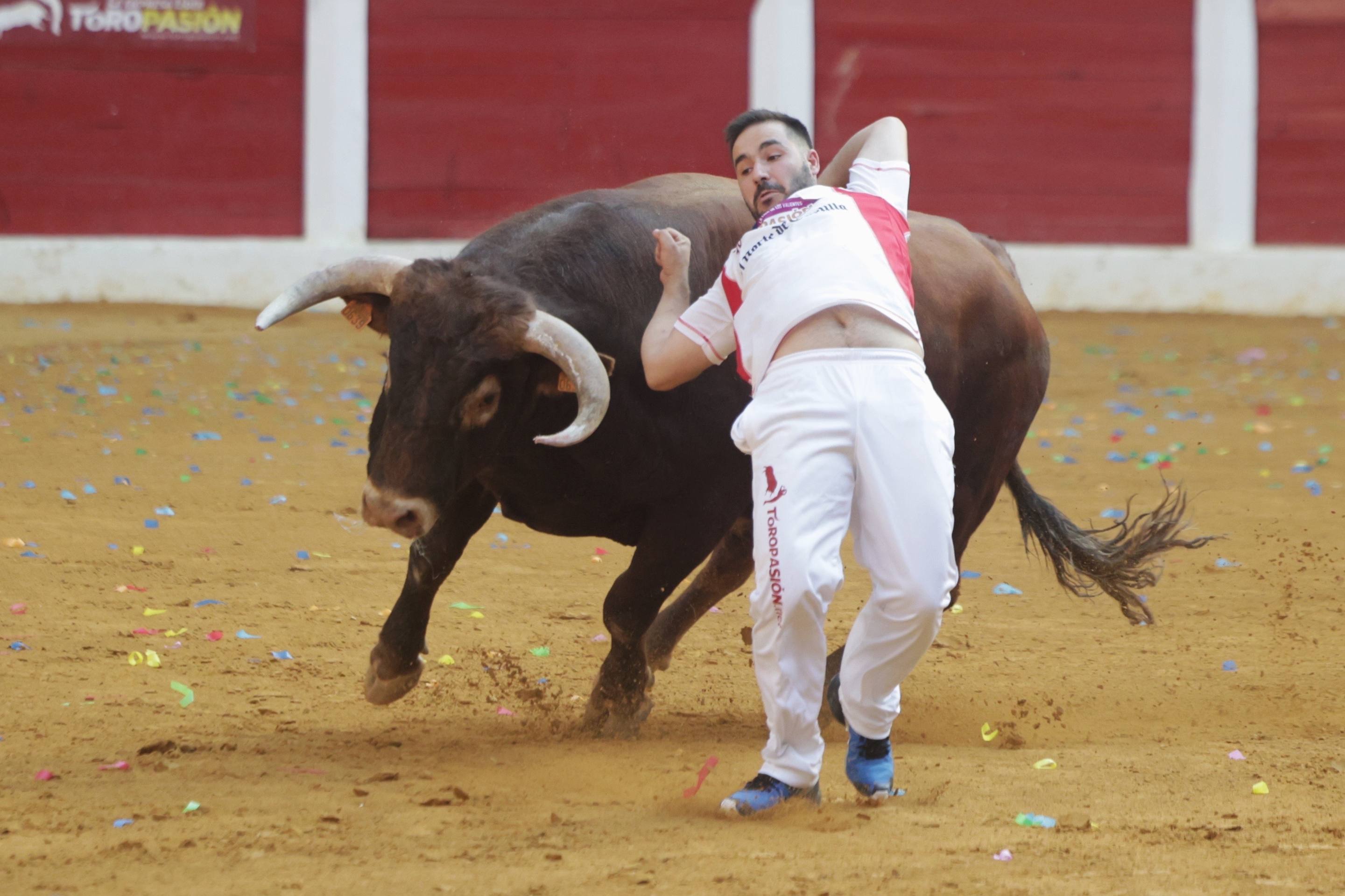 El regreso de la Liga del Corte Puro a Íscar, en imágenes
