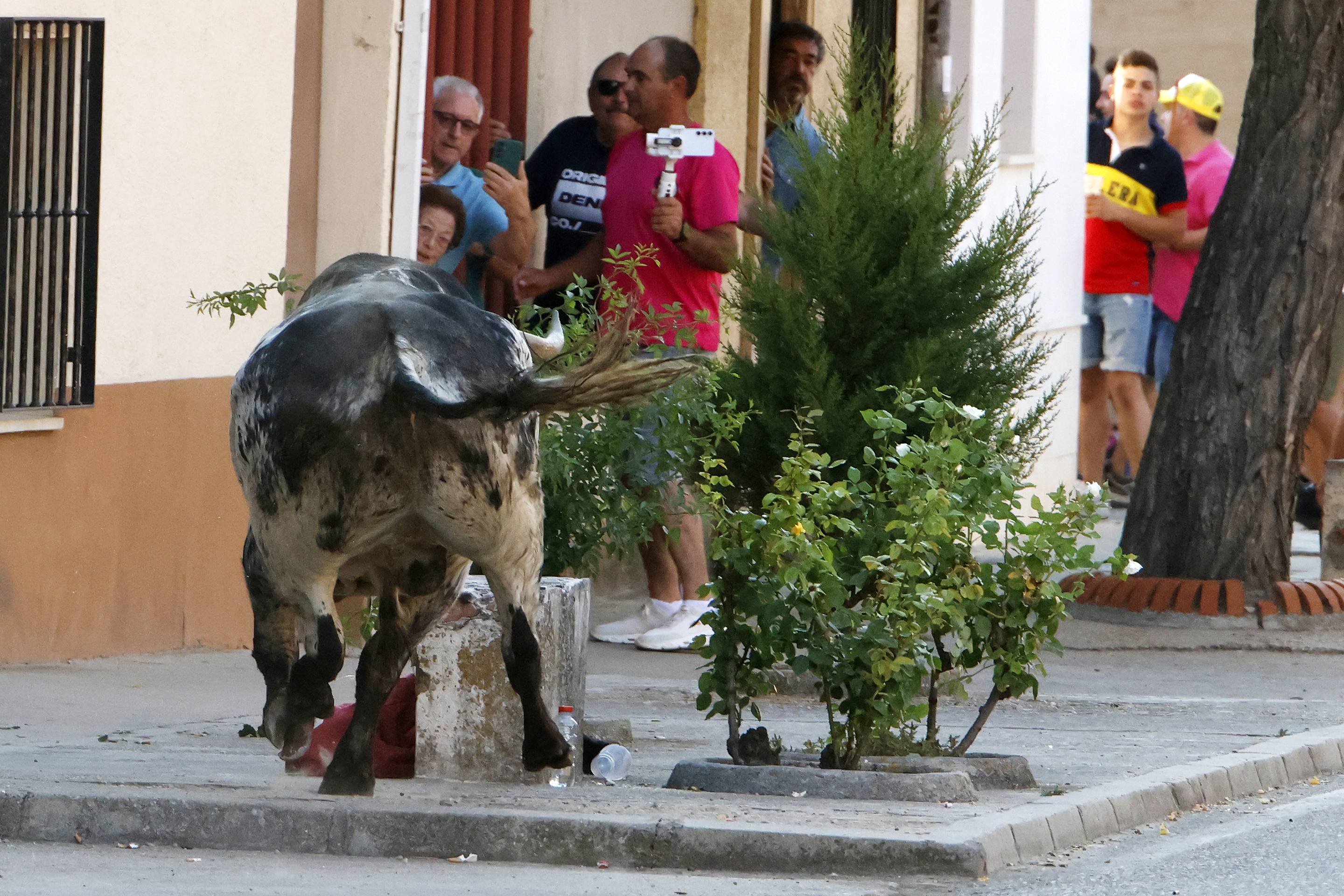 Las imágenes del encierro de La Seca