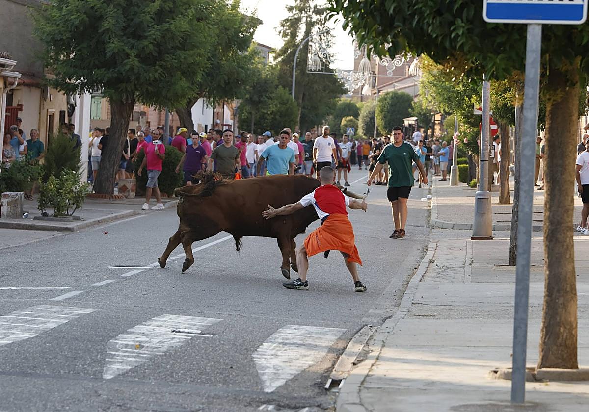Las imágenes del encierro de La Seca