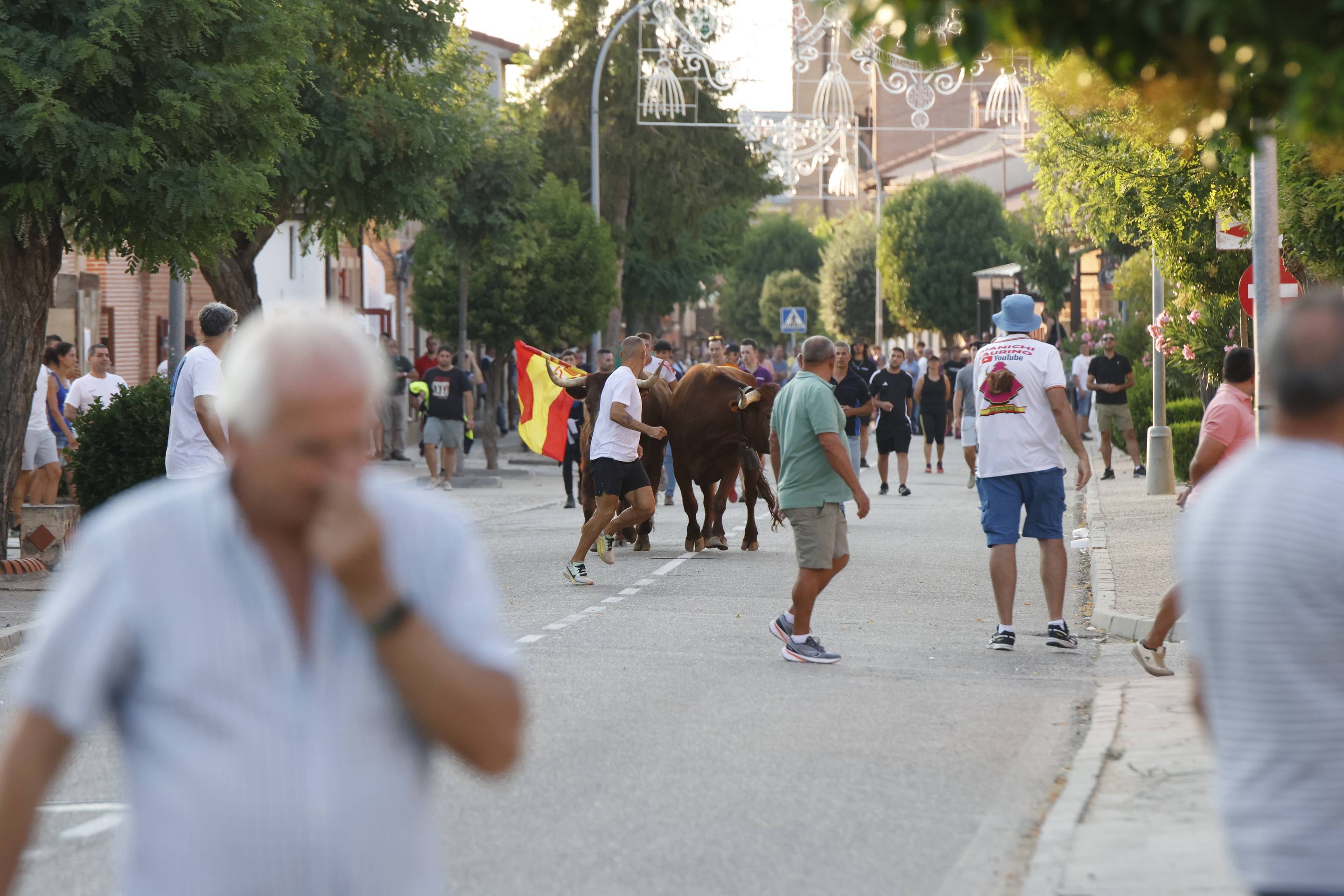 Las imágenes del encierro de La Seca