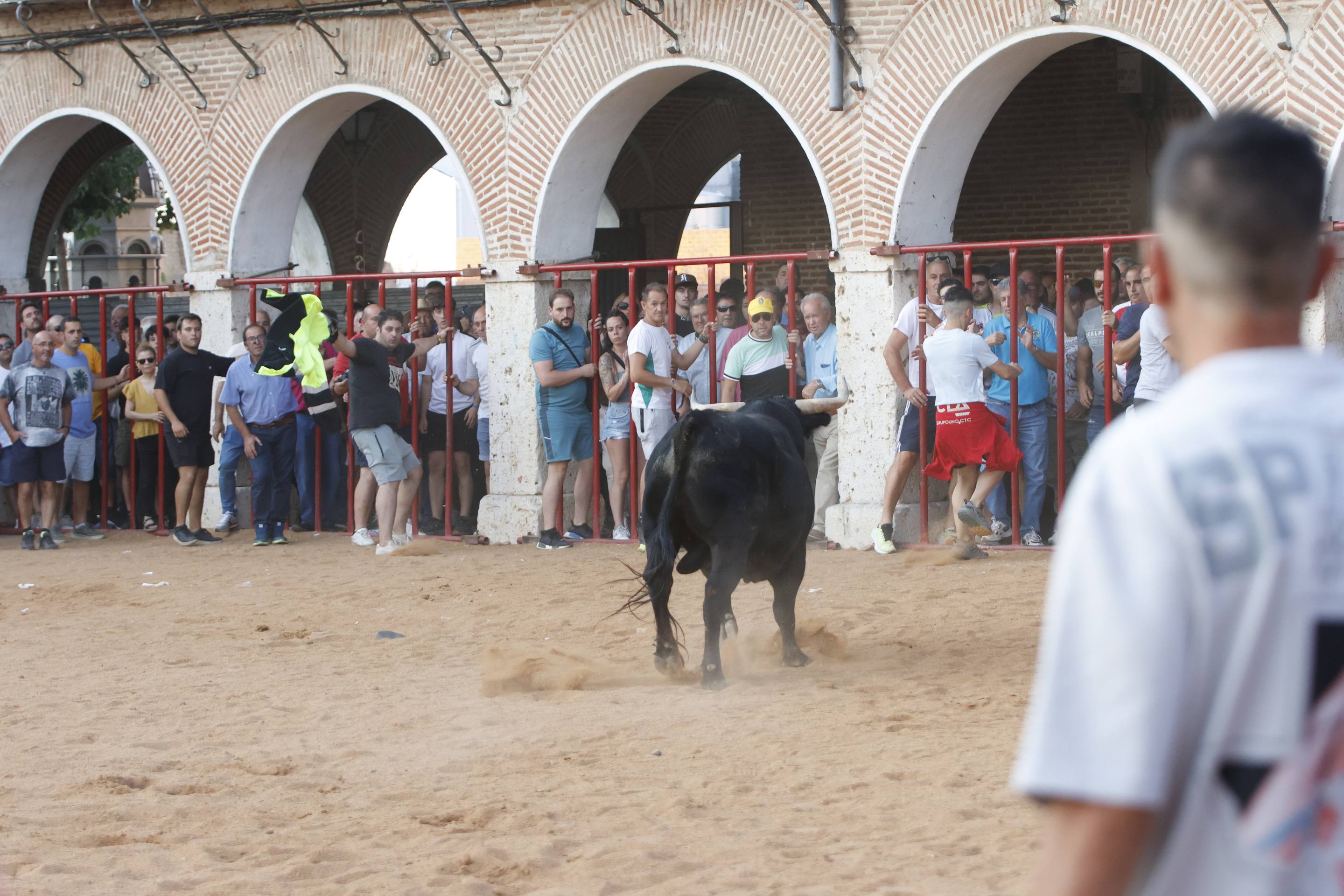 Las imágenes del encierro de La Seca