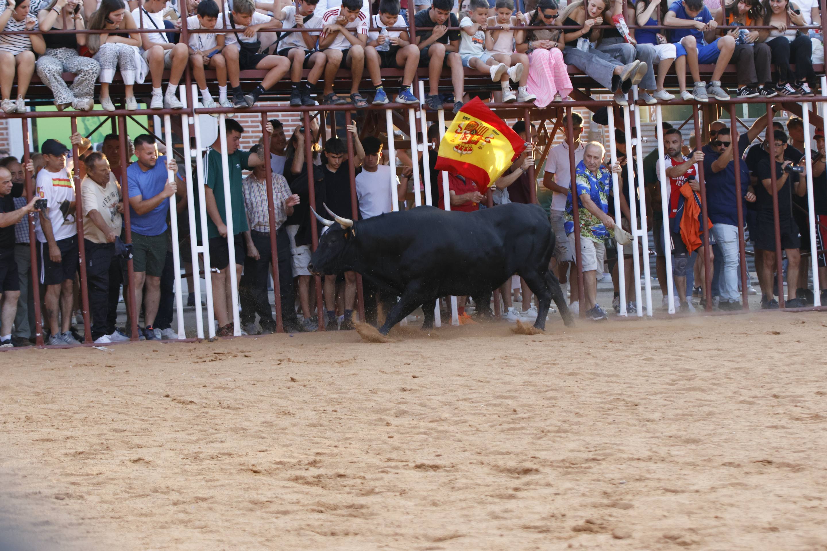 Las imágenes del encierro de La Seca