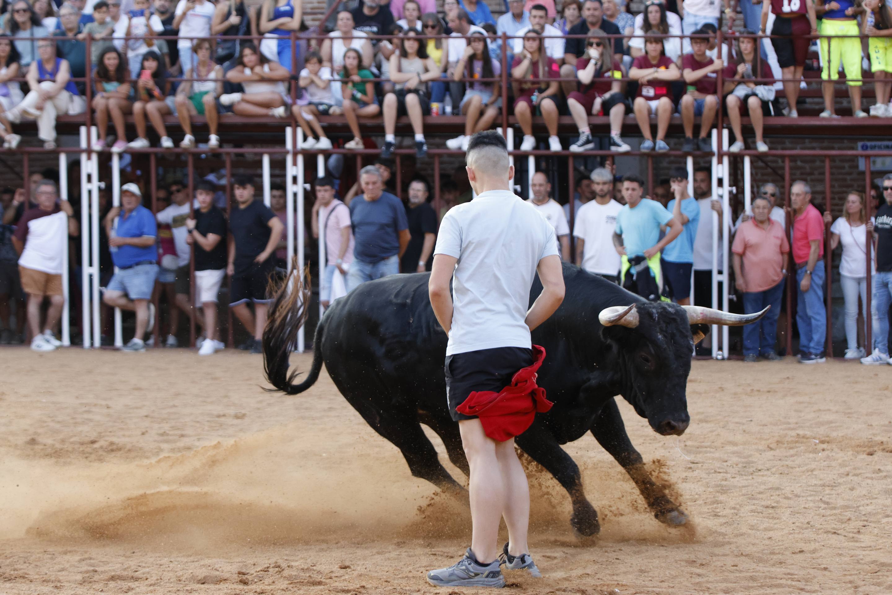 Las imágenes del encierro de La Seca