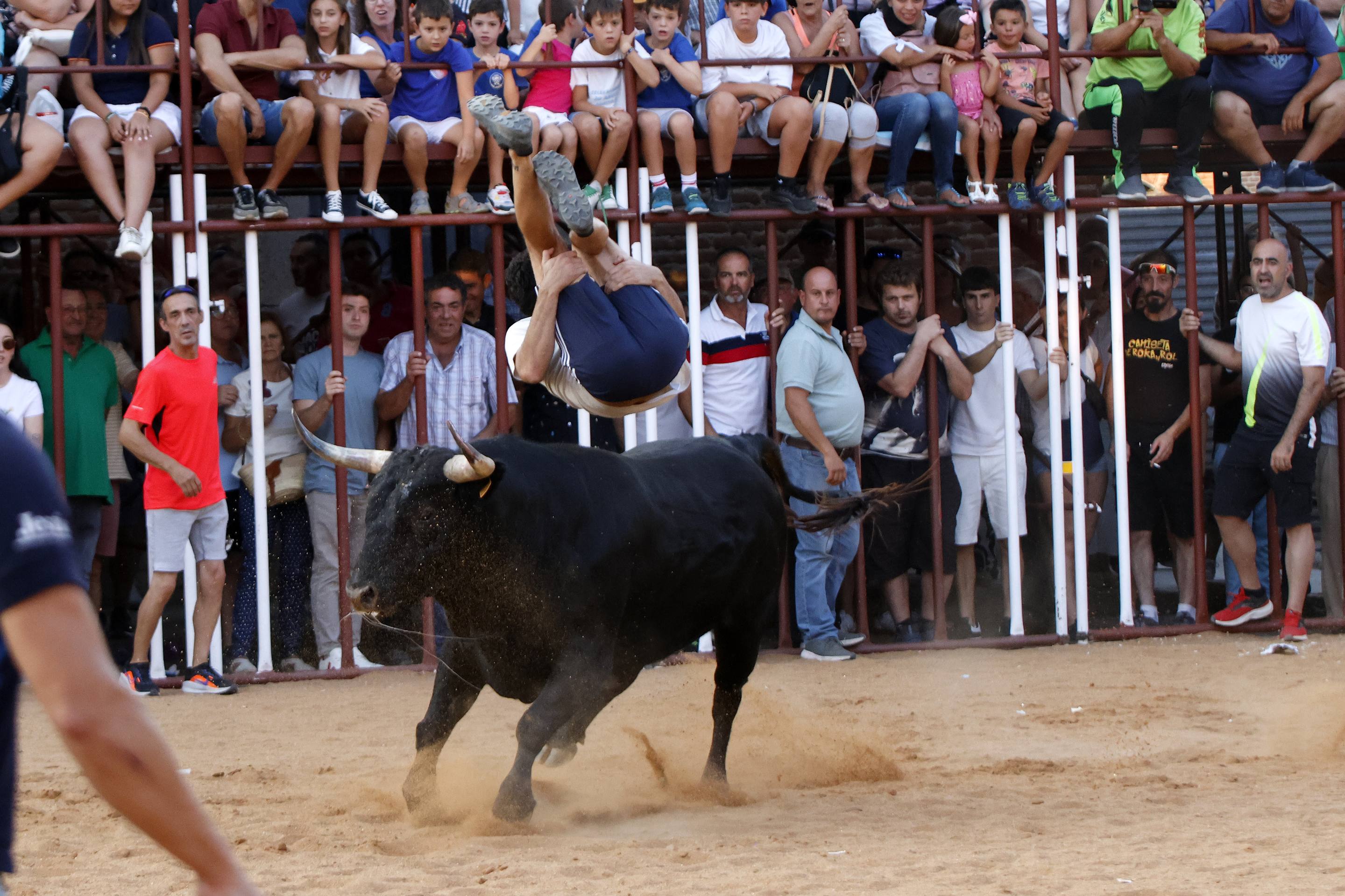 Las imágenes del encierro de La Seca