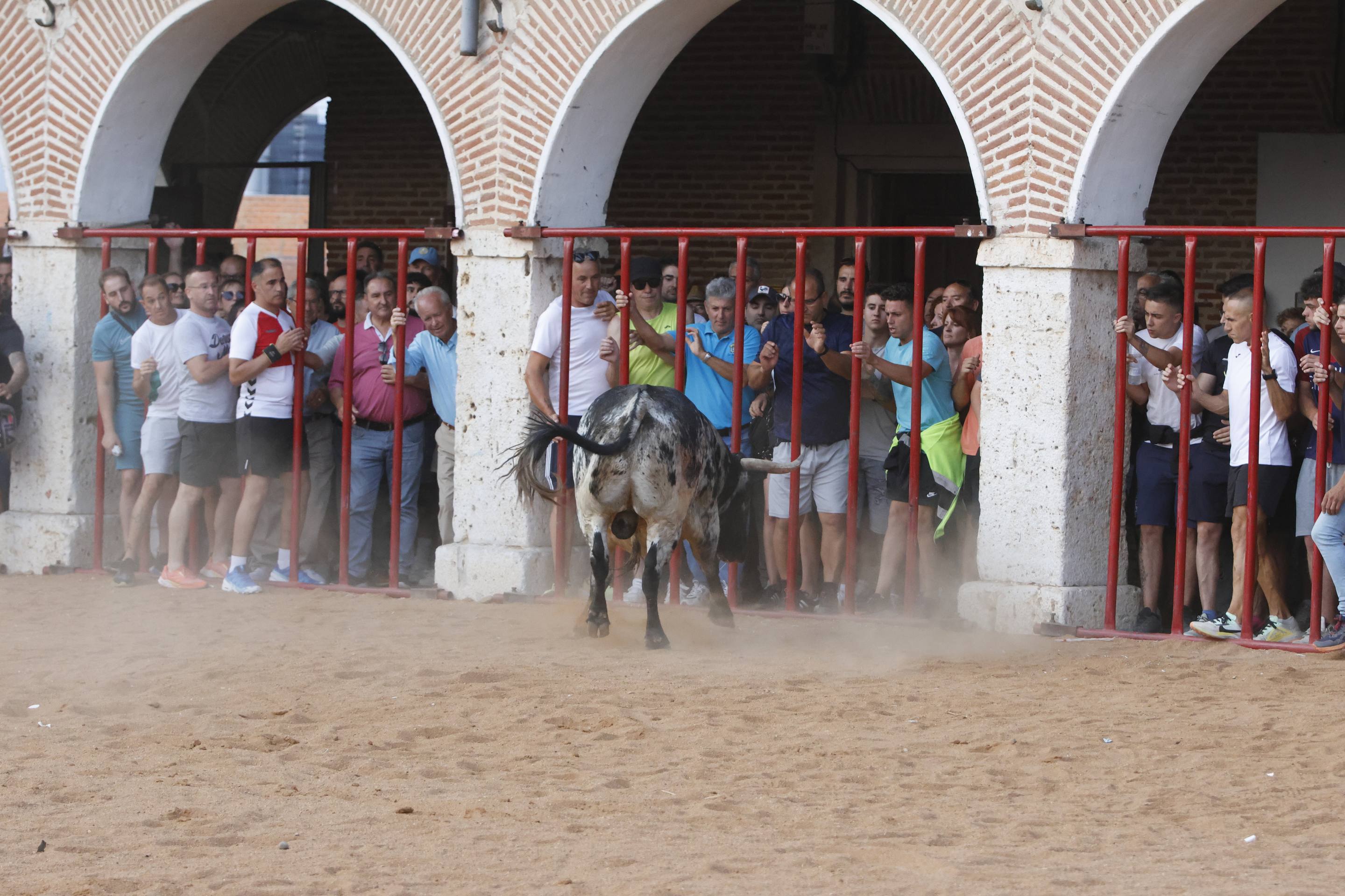 Las imágenes del encierro de La Seca