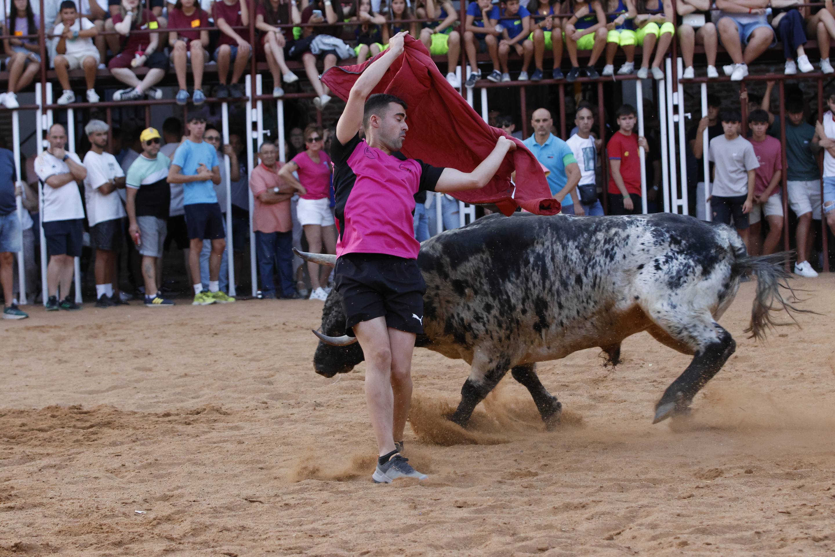 Las imágenes del encierro de La Seca