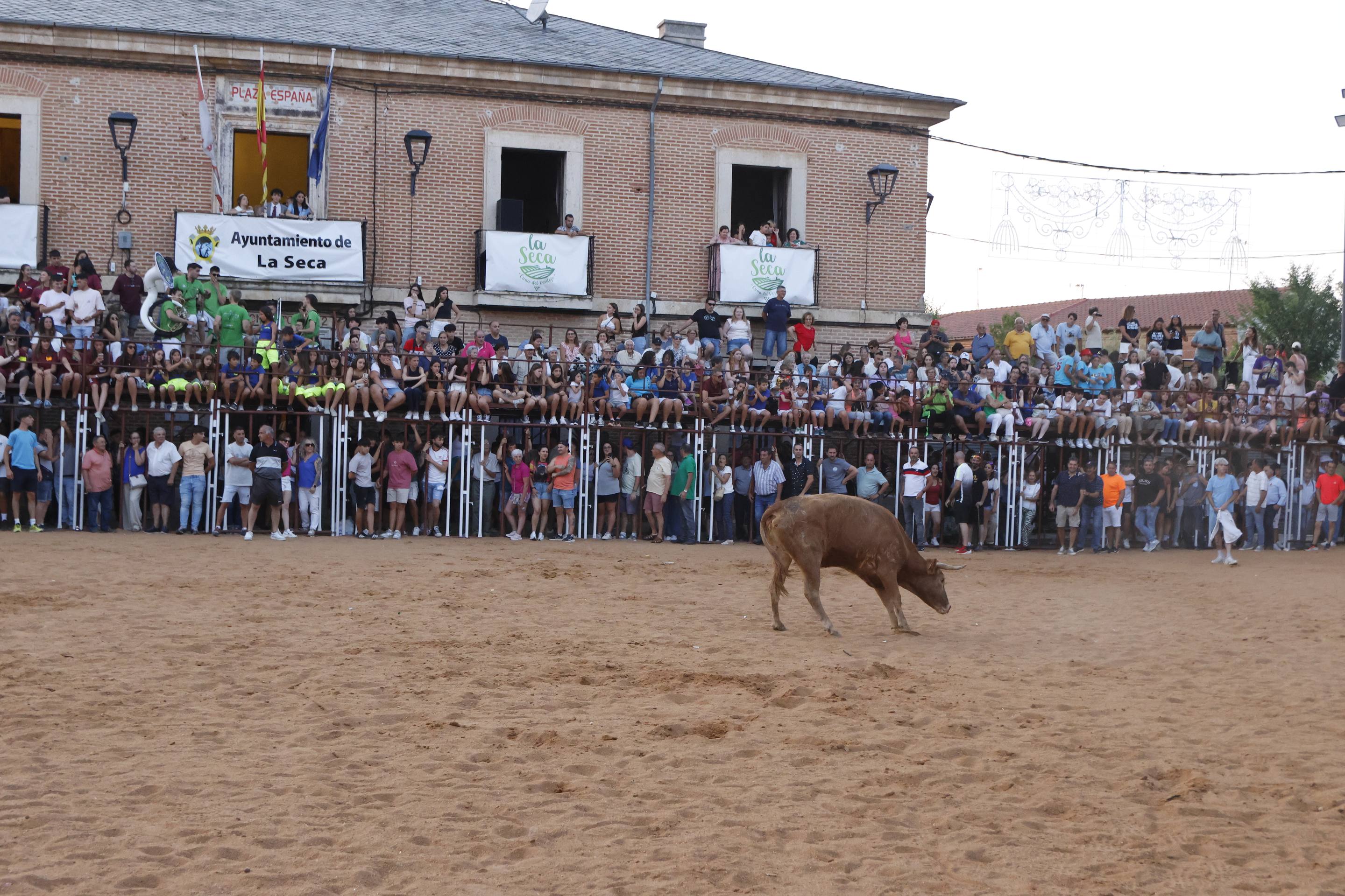 Las imágenes del encierro de La Seca