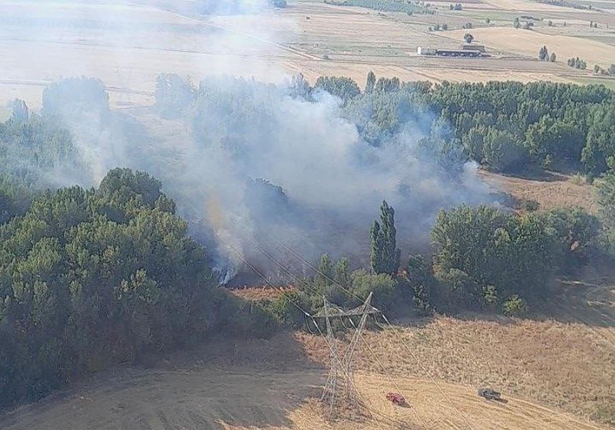 Incendio desatado en las afueras de Mayorga este sábado por la tarde