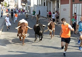 Encierro y probadilla en las fiestas de Íscar