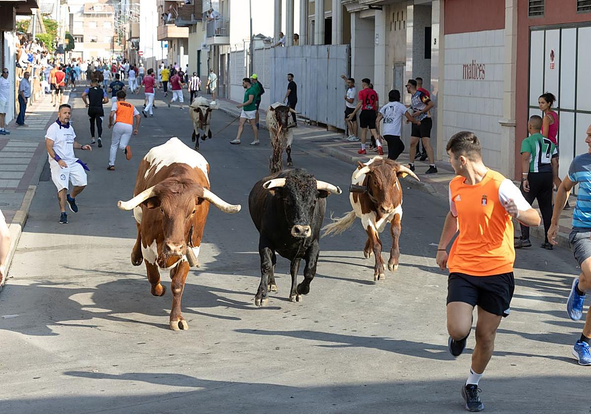 Encierro y probadilla en las fiestas de Íscar