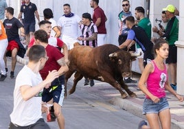 Encierro en las calles de Íscar.