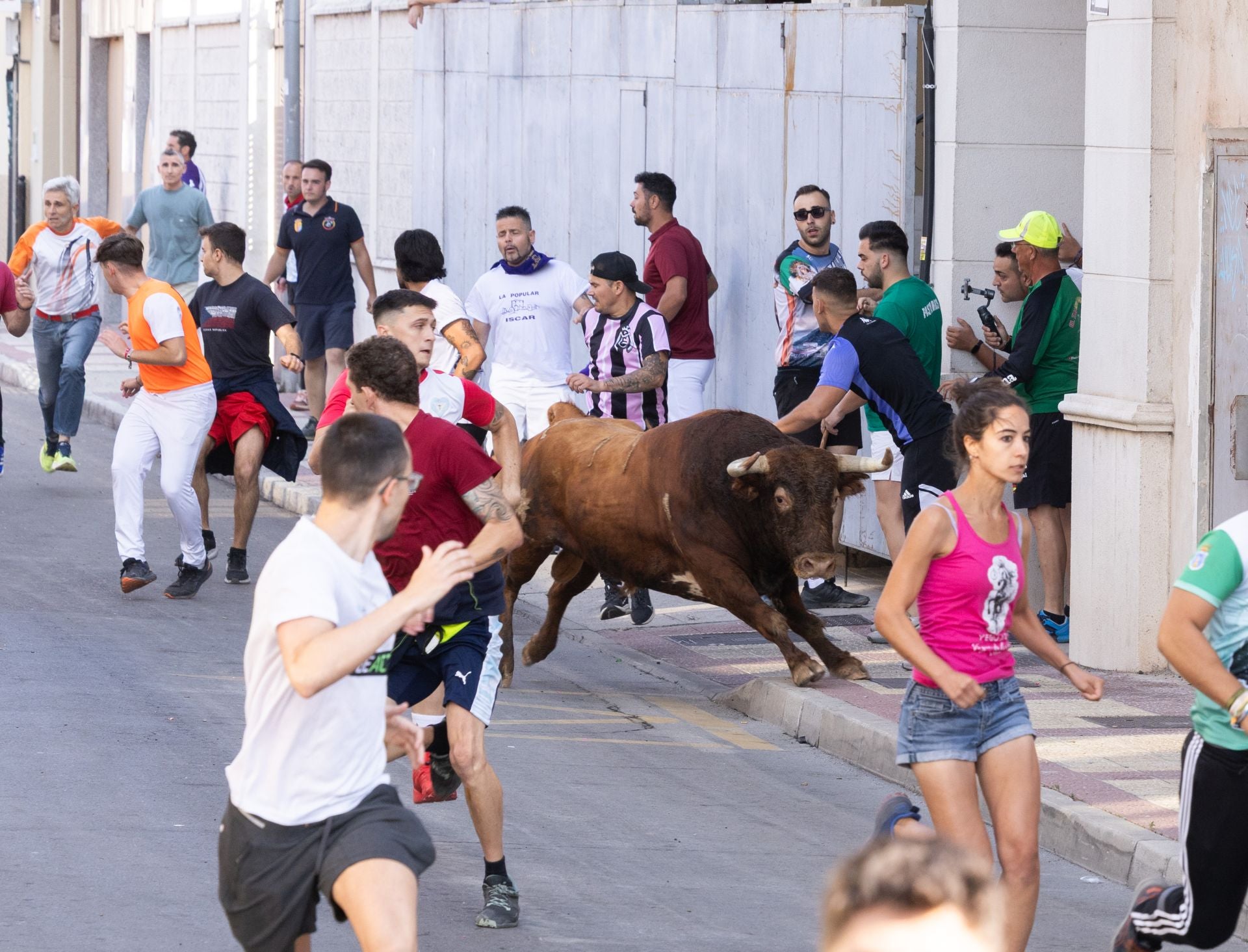 Encierro y probadilla en las fiestas de Íscar