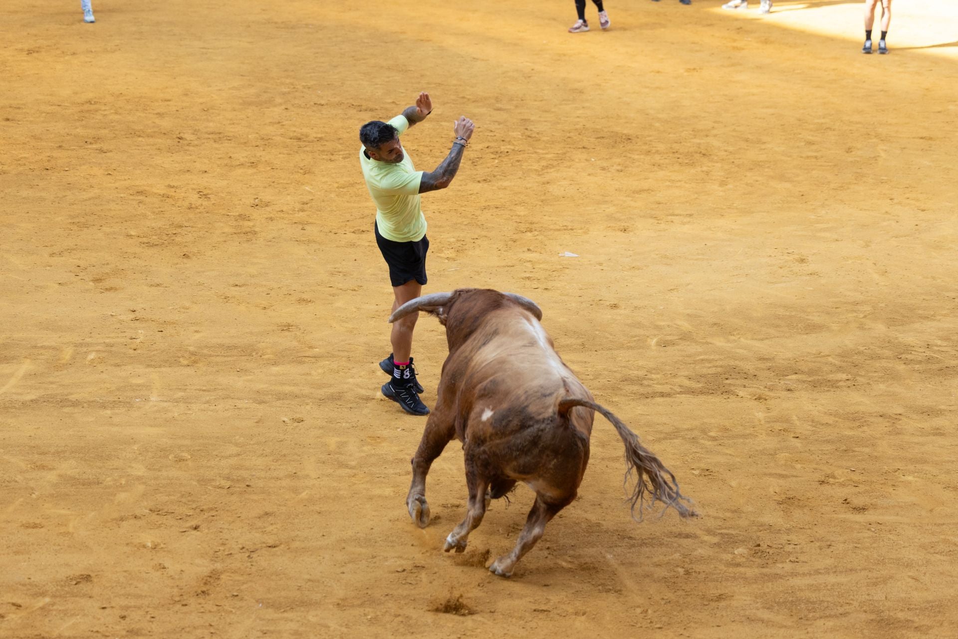 Encierro y probadilla en las fiestas de Íscar