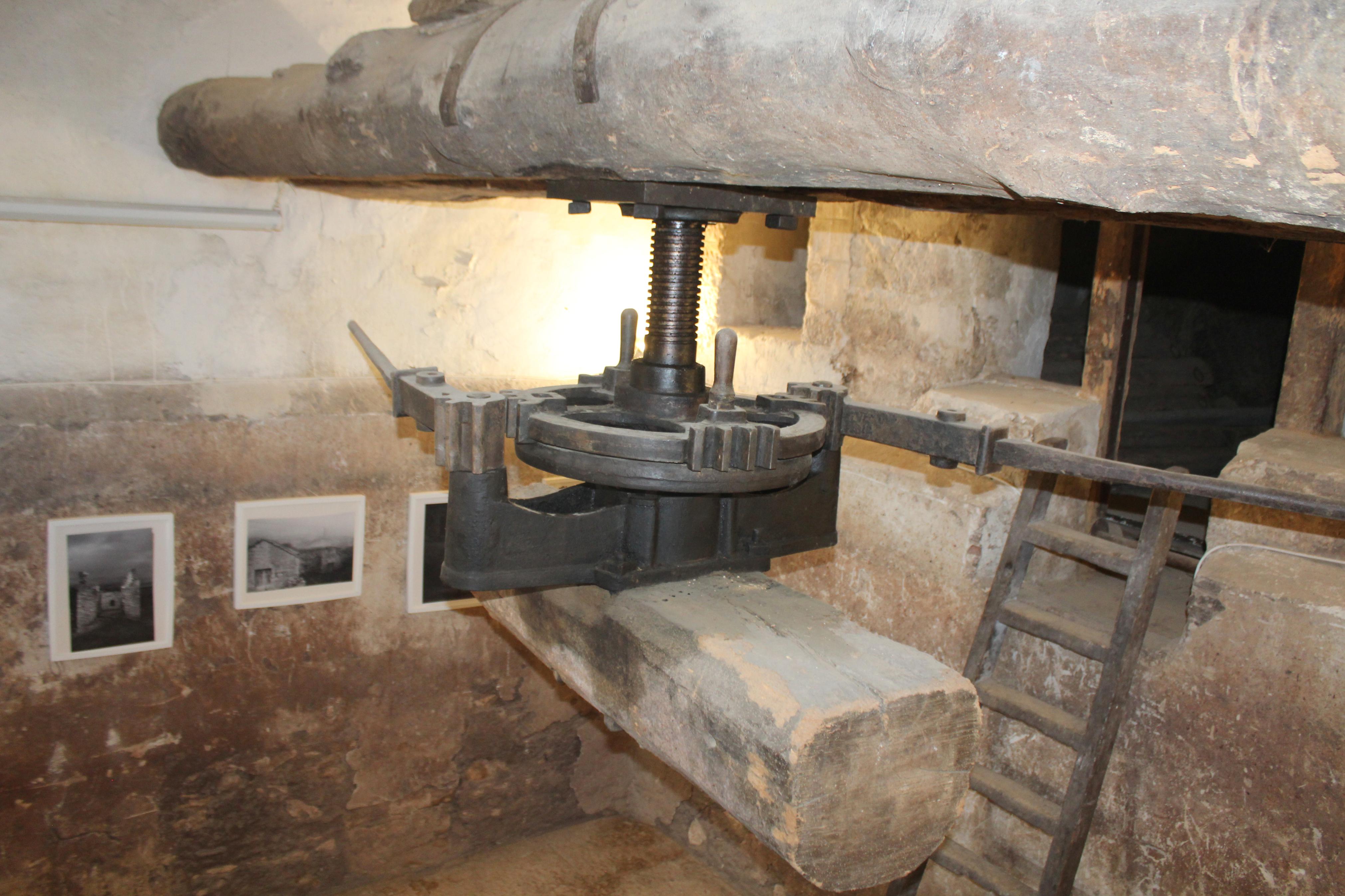 XI Ruta Guiada por las Bodegas y Cuevas de Dueñas