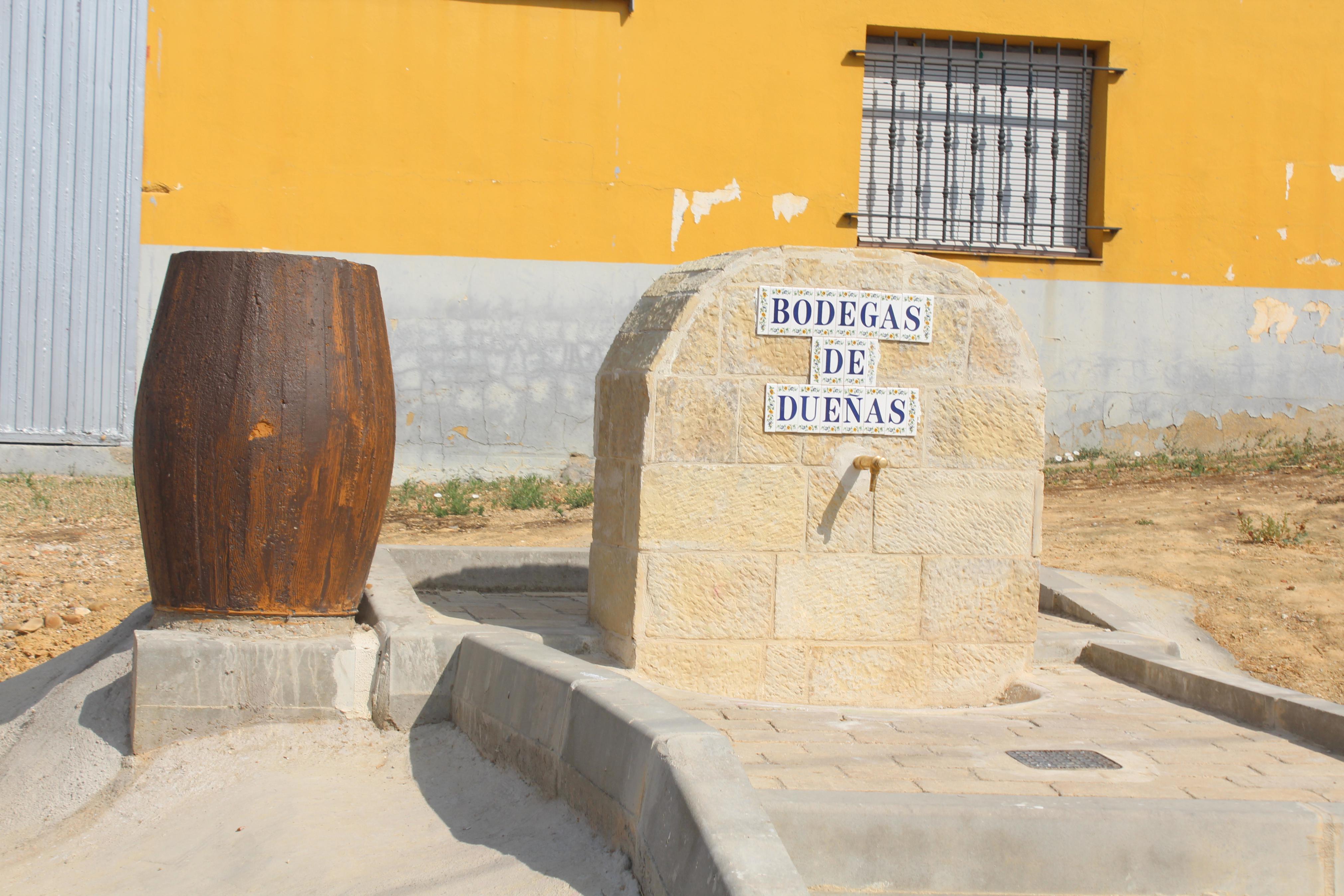 XI Ruta Guiada por las Bodegas y Cuevas de Dueñas