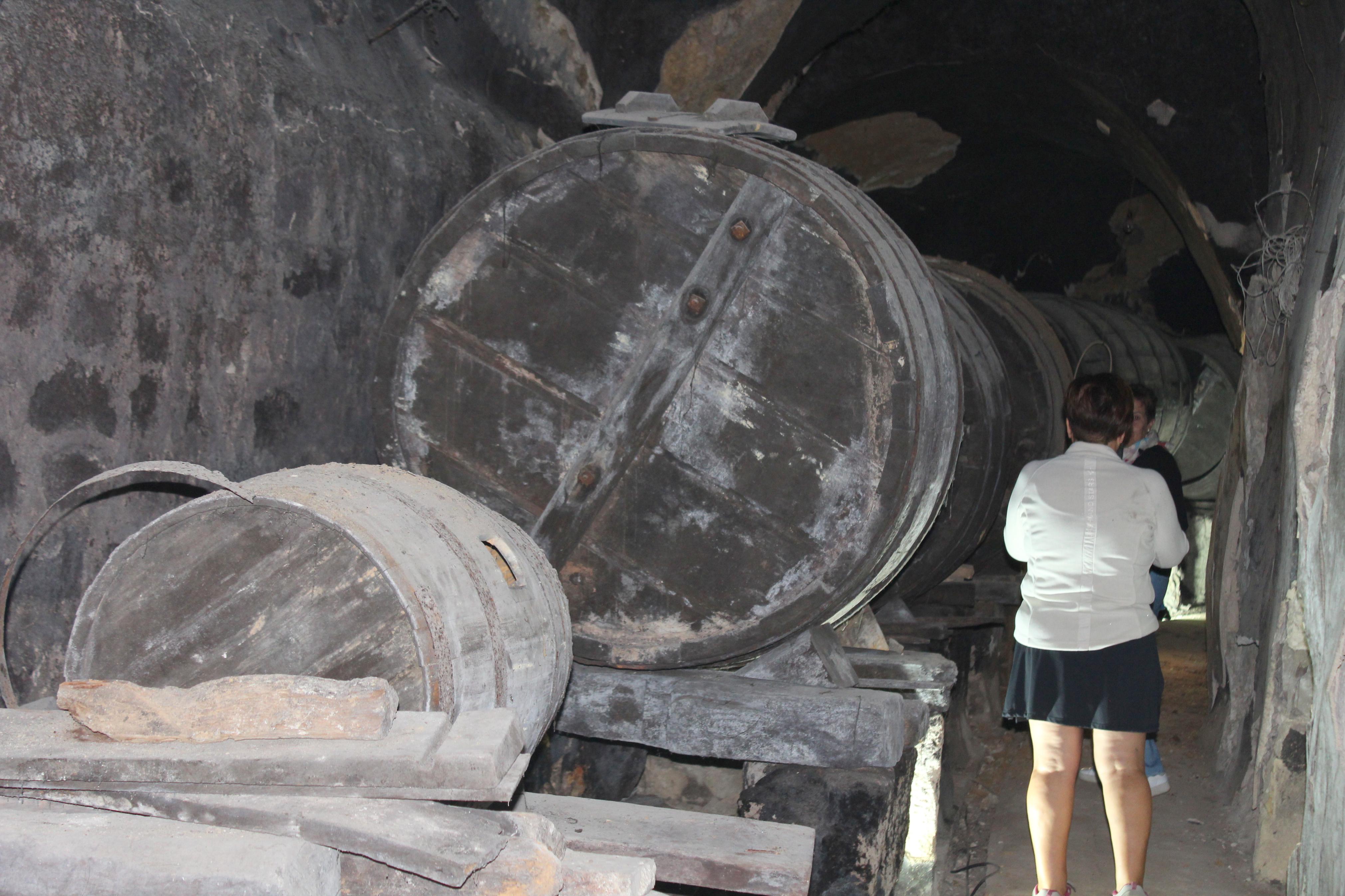 XI Ruta Guiada por las Bodegas y Cuevas de Dueñas