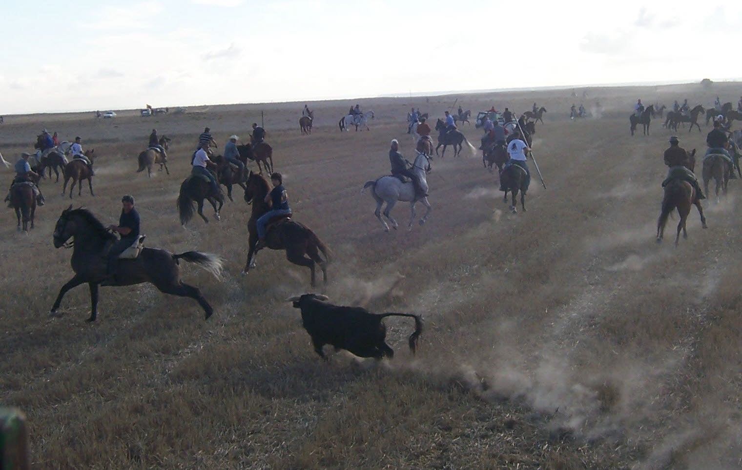 Los caballistas esquivan al toro en el encierro por el campo de Fuensaldaña. 18 de septiembre de 2001.