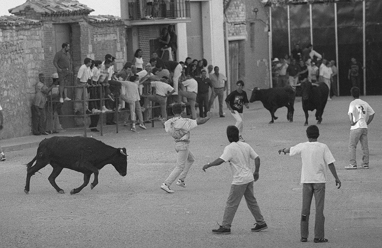Encierros en las fiestas de Cigales. 15 de julio de 1998.