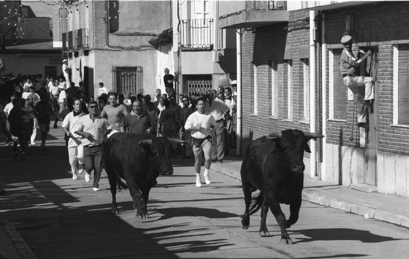 Encierros por las calles de Pedrajas de San Esteban en los festejos de agosto de 1995.