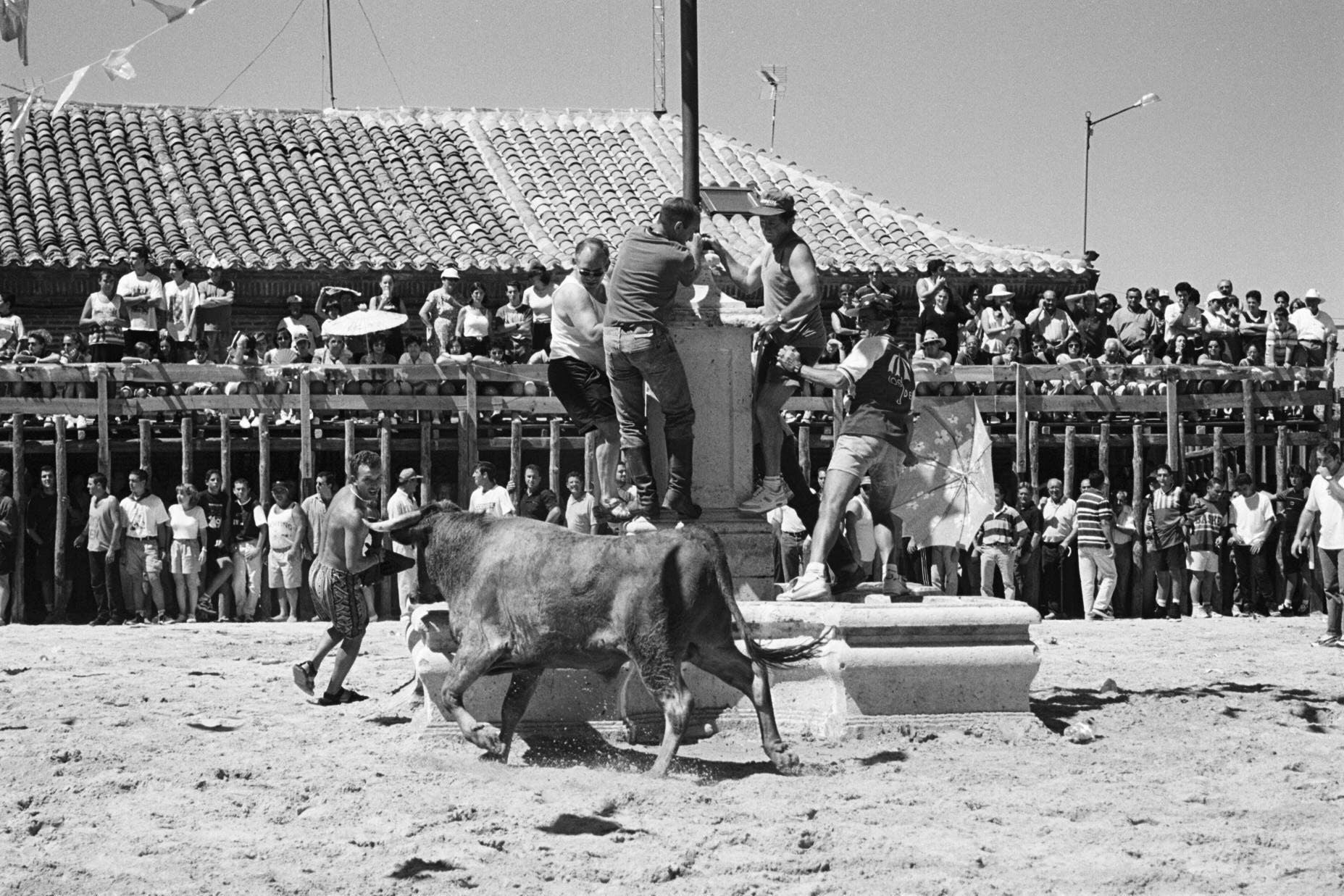 Encierro en la plaza del Ayuntamiento de Serrada. 18 de agosto de 2000.