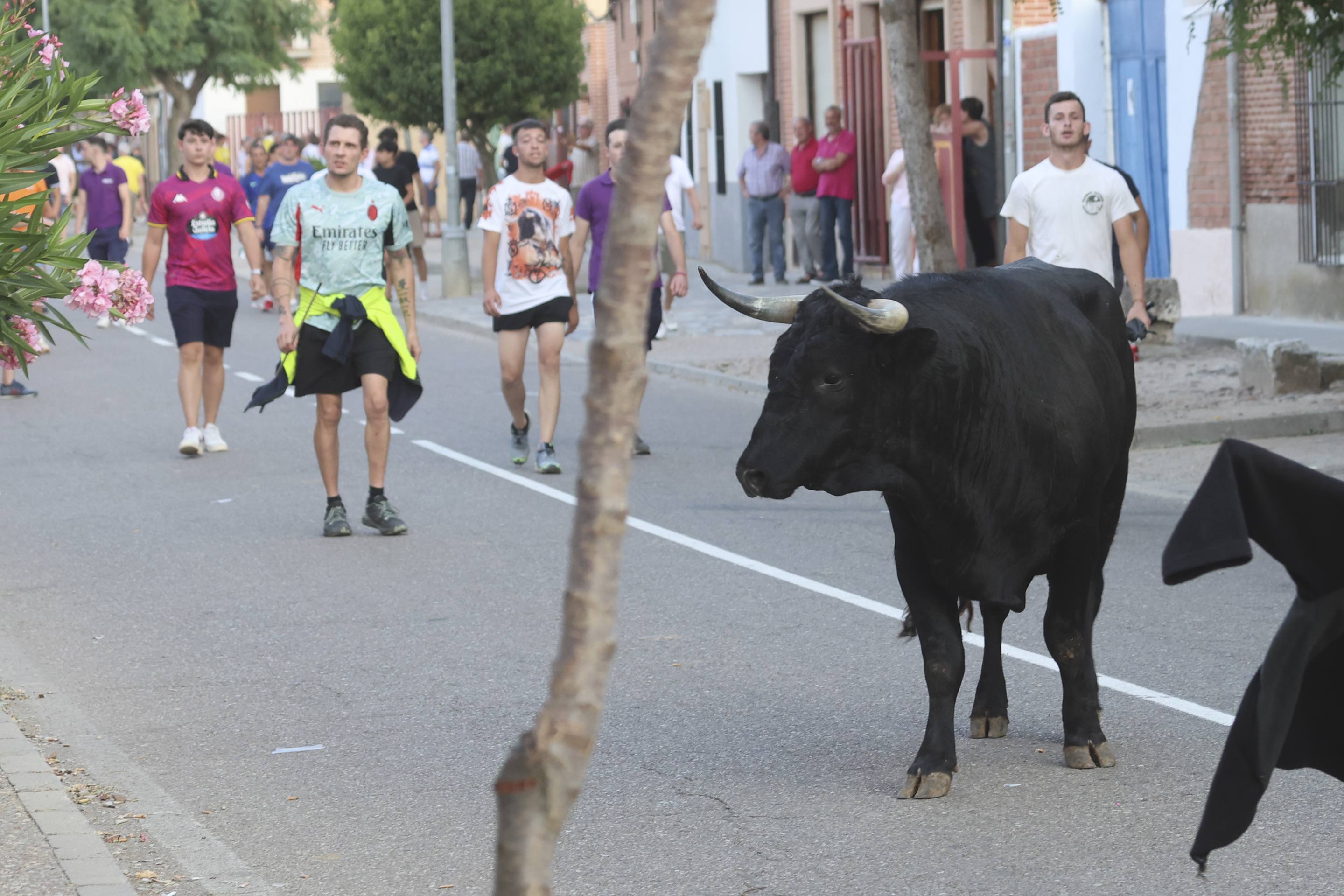 La jornada taurina en La Seca, en imágenes