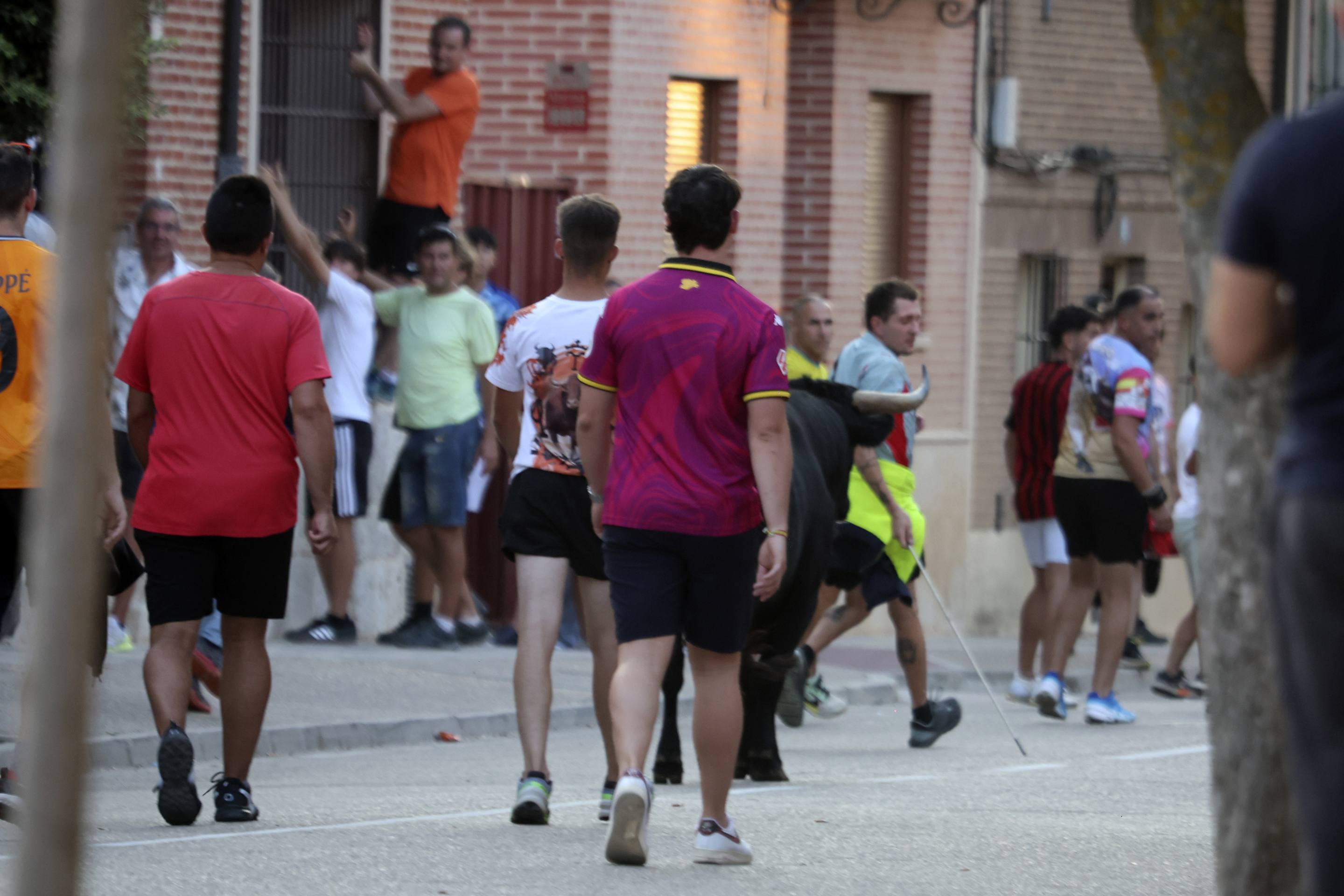 La jornada taurina en La Seca, en imágenes