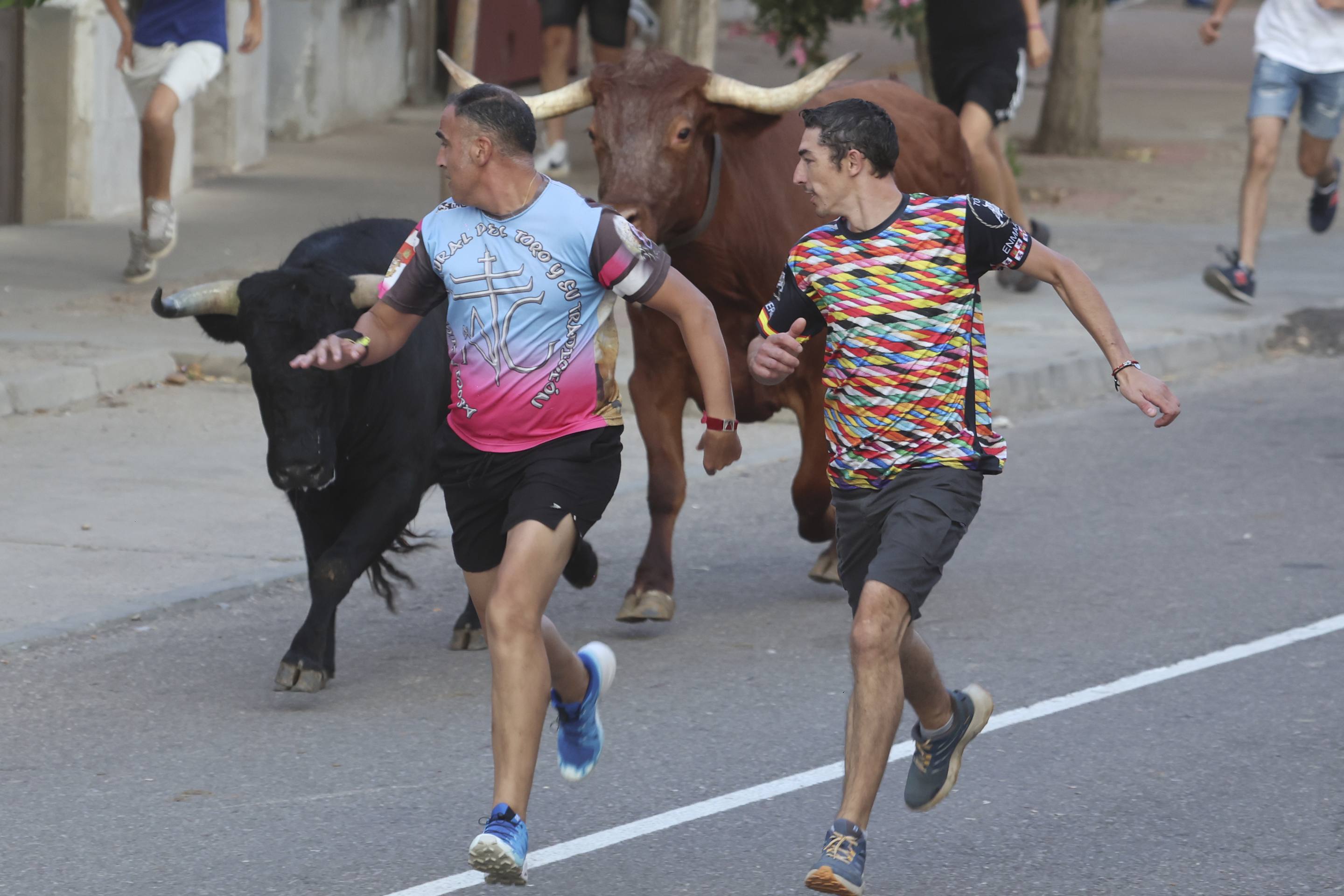 La jornada taurina en La Seca, en imágenes