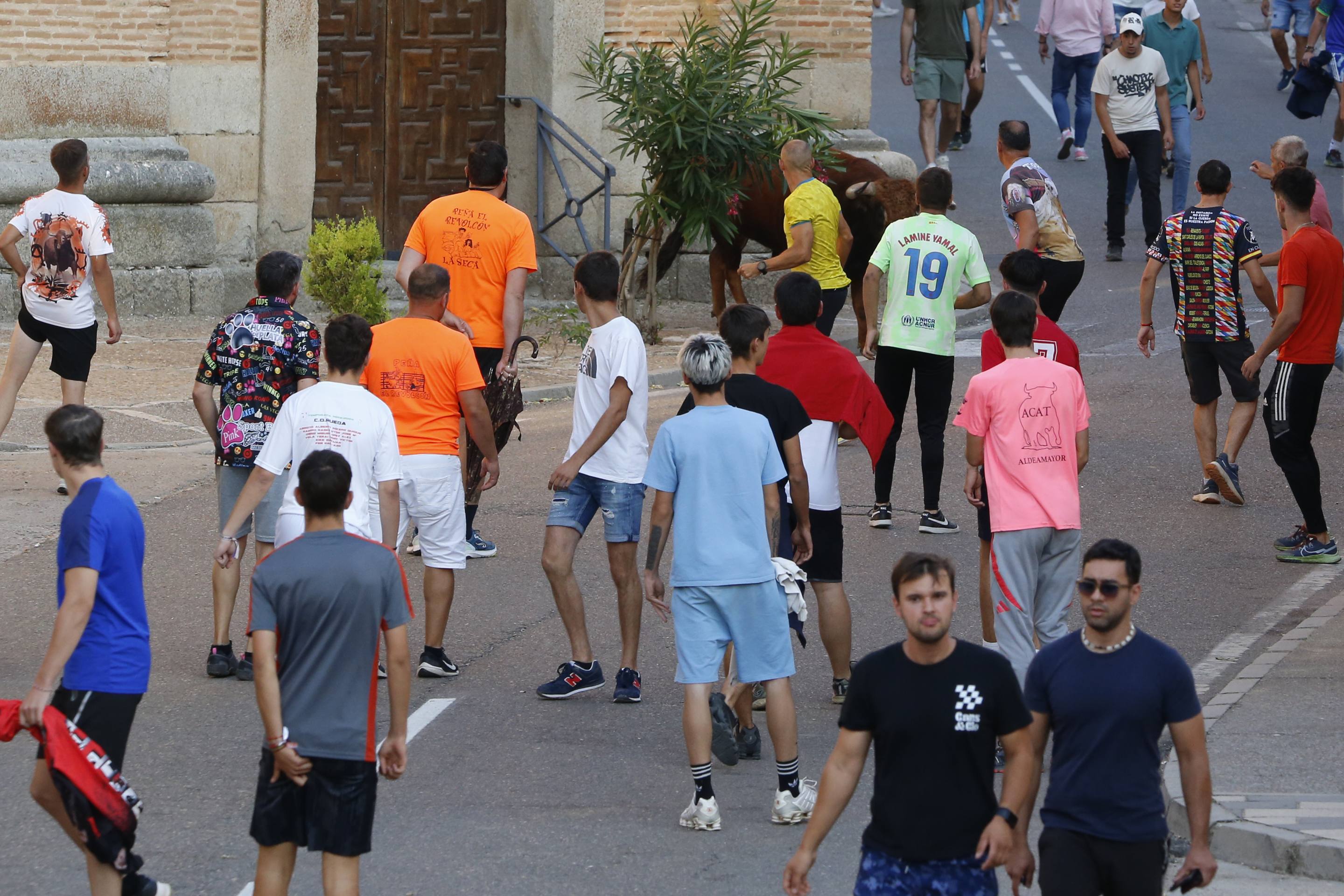 La jornada taurina en La Seca, en imágenes