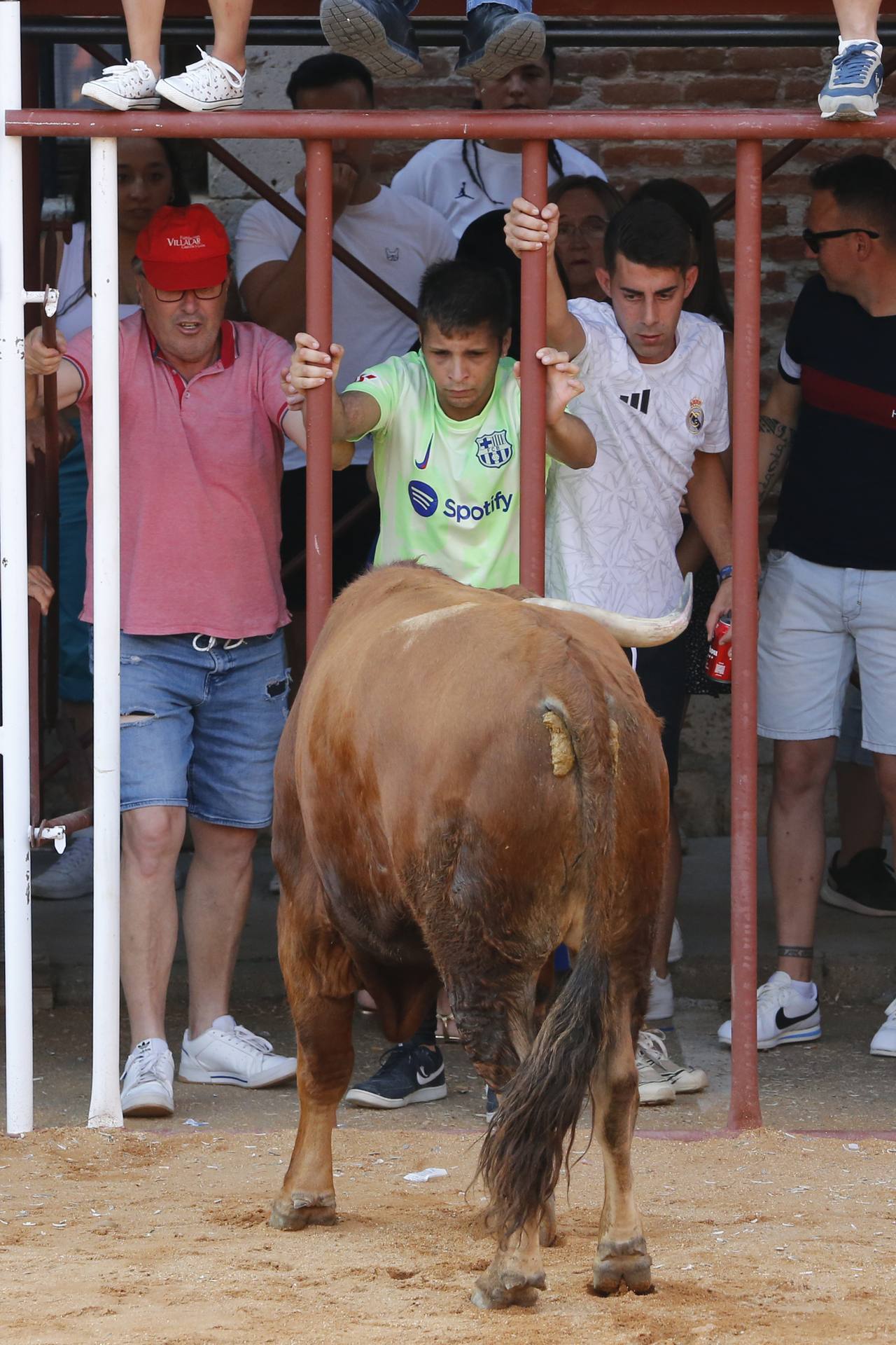 La jornada taurina en La Seca, en imágenes