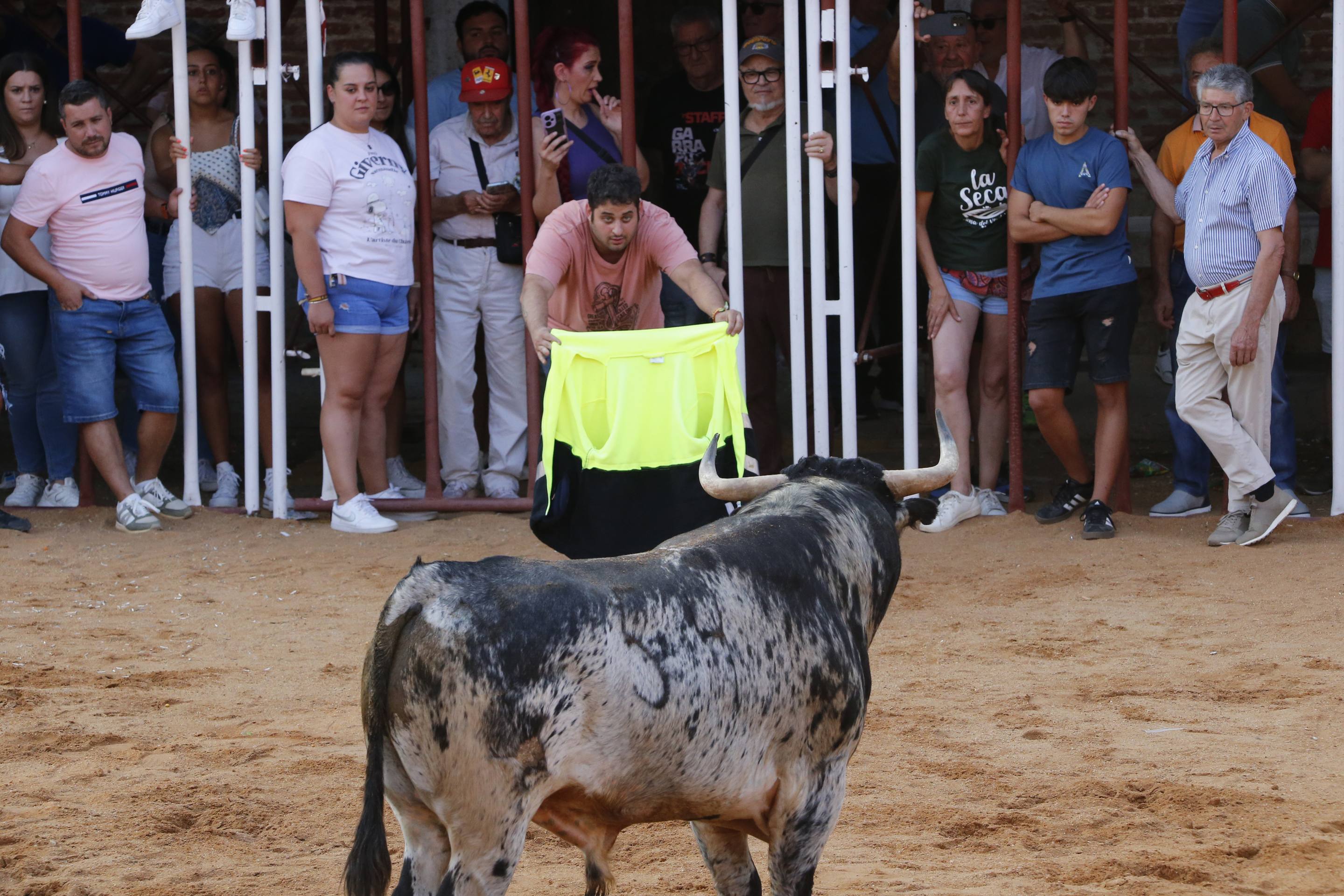 La jornada taurina en La Seca, en imágenes