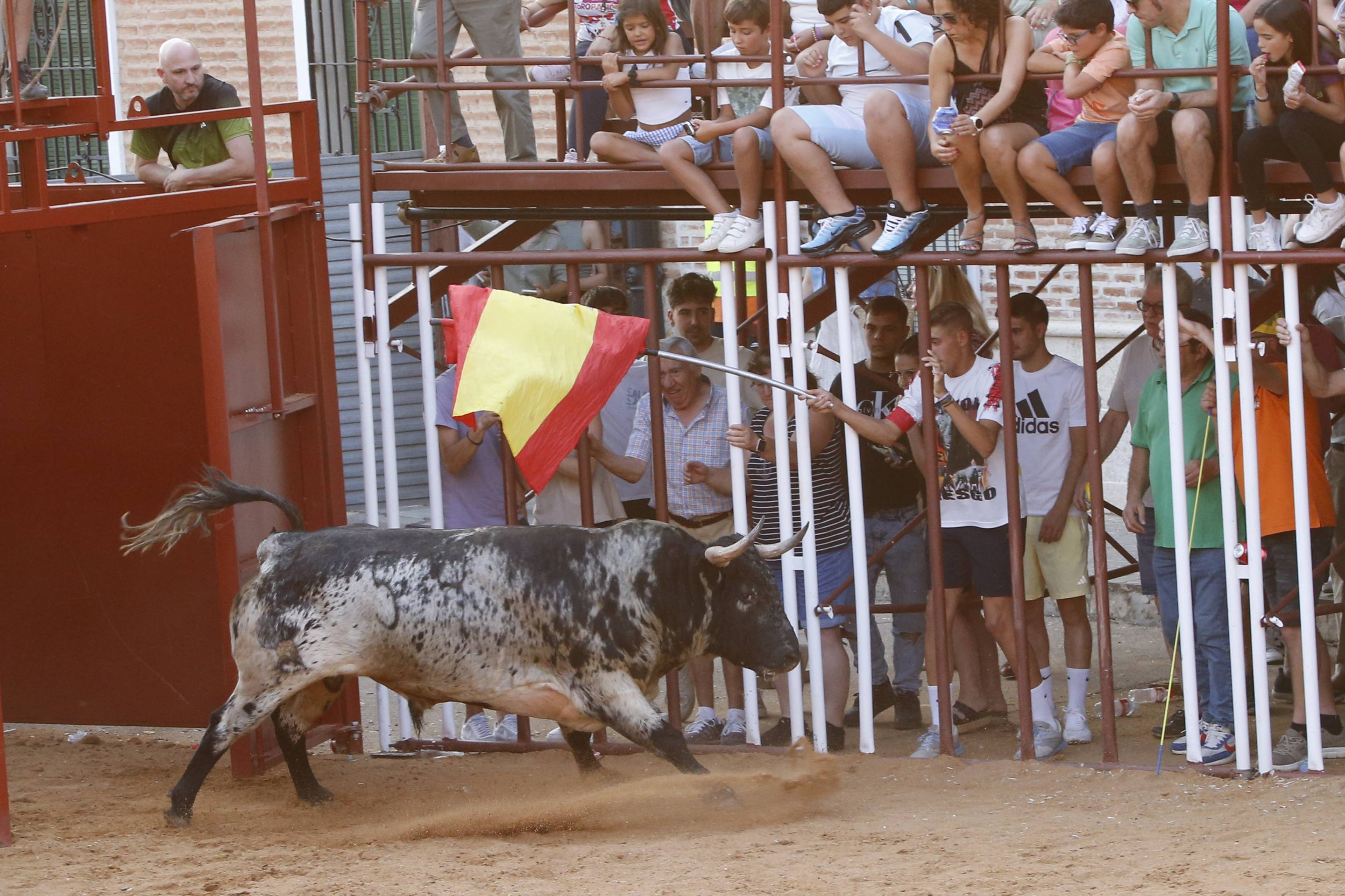 La jornada taurina en La Seca, en imágenes