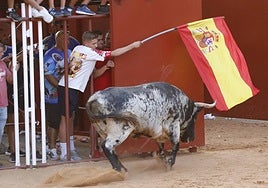 Imágenes de la jornada dominical taurina en La Seca