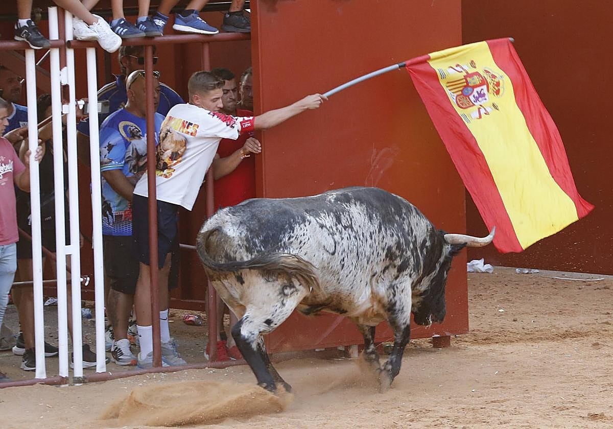 La jornada taurina en La Seca, en imágenes