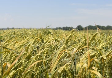 ASAJA exige un presupuesto PAC independiente