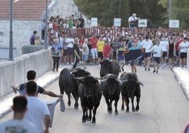 Encierro celebrado el pasado año en las fiestas de Tudela.