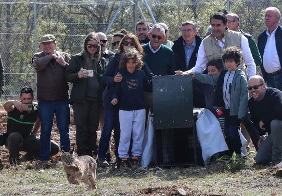 Vouga, en su suelta el pasado mes de abril en Astudillo, en presencia del consejero.
