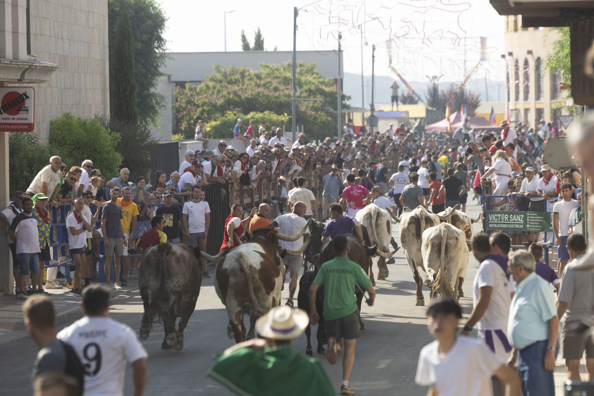 Las imágenes del encierro mixto de Íscar