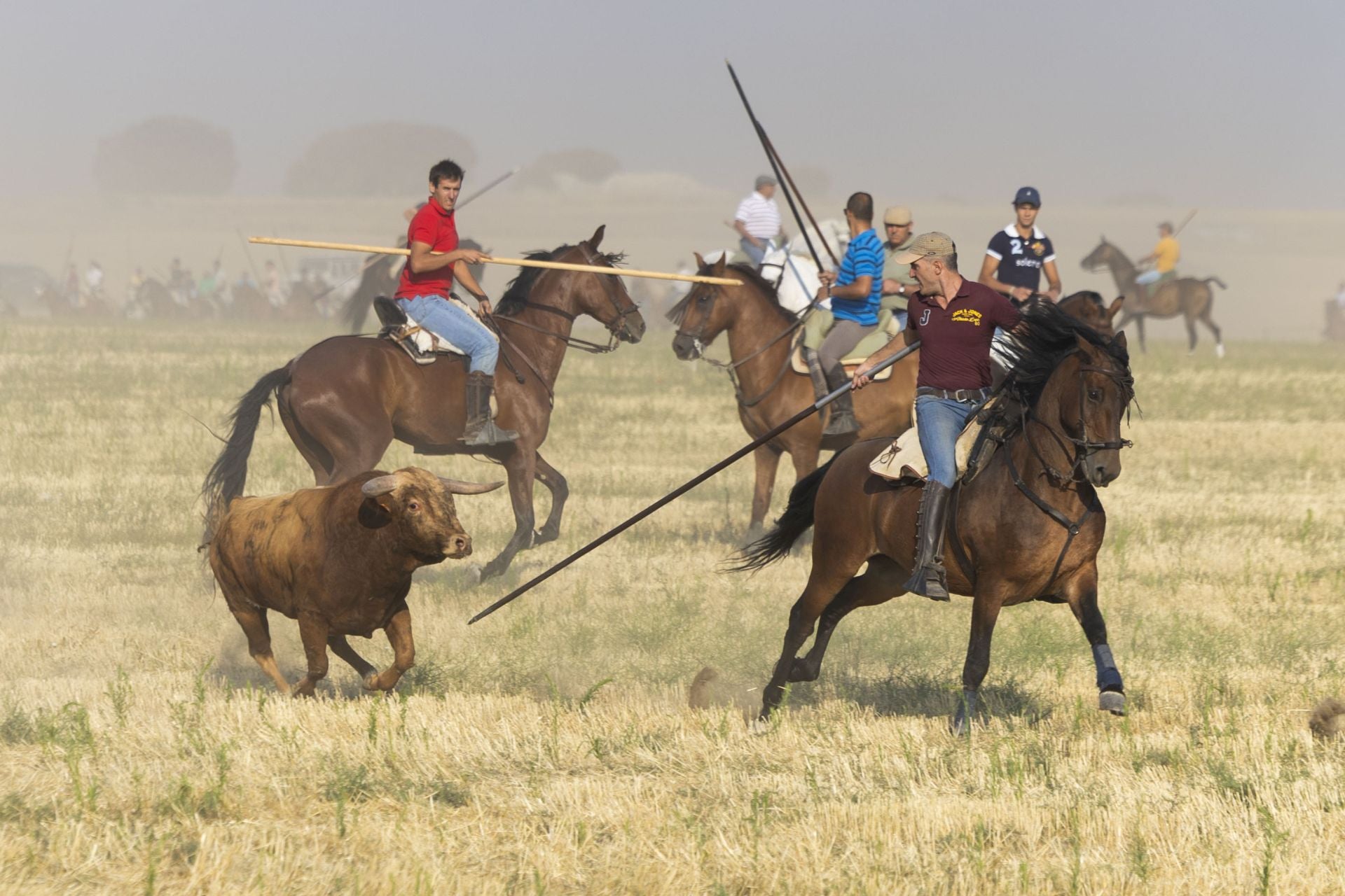 Las imágenes del encierro mixto de Íscar