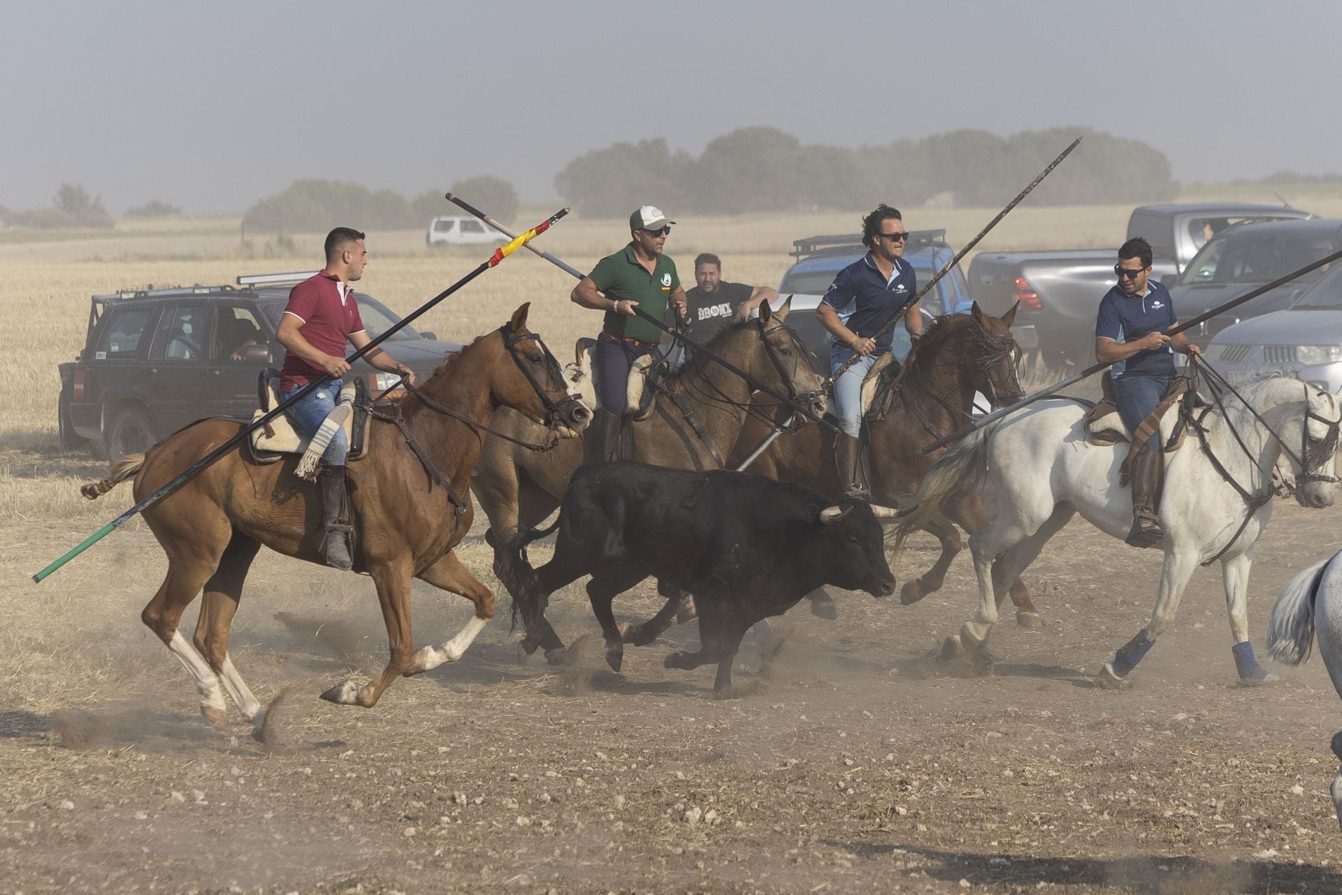 Las imágenes del encierro mixto de Íscar